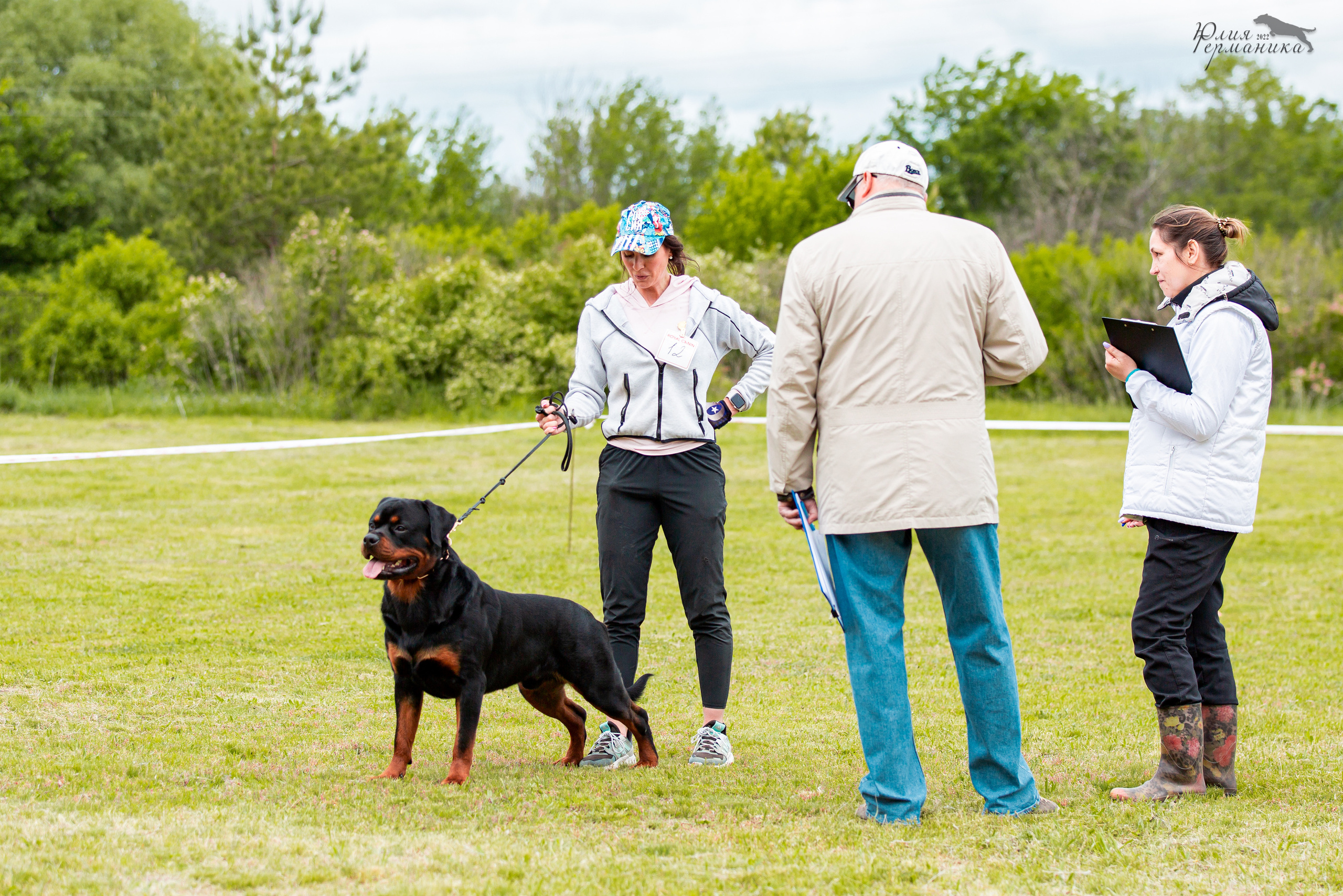Воронеж моно ротвейлеров 28-29 мая 2022. Фотограф-анималист Юлия Германика