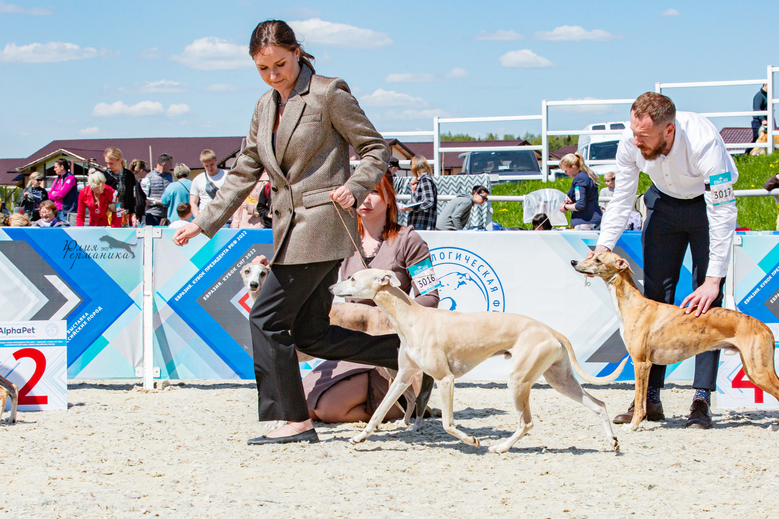 Евразия 21-22 мая 2022. Фотограф-анималист Юлия Германика