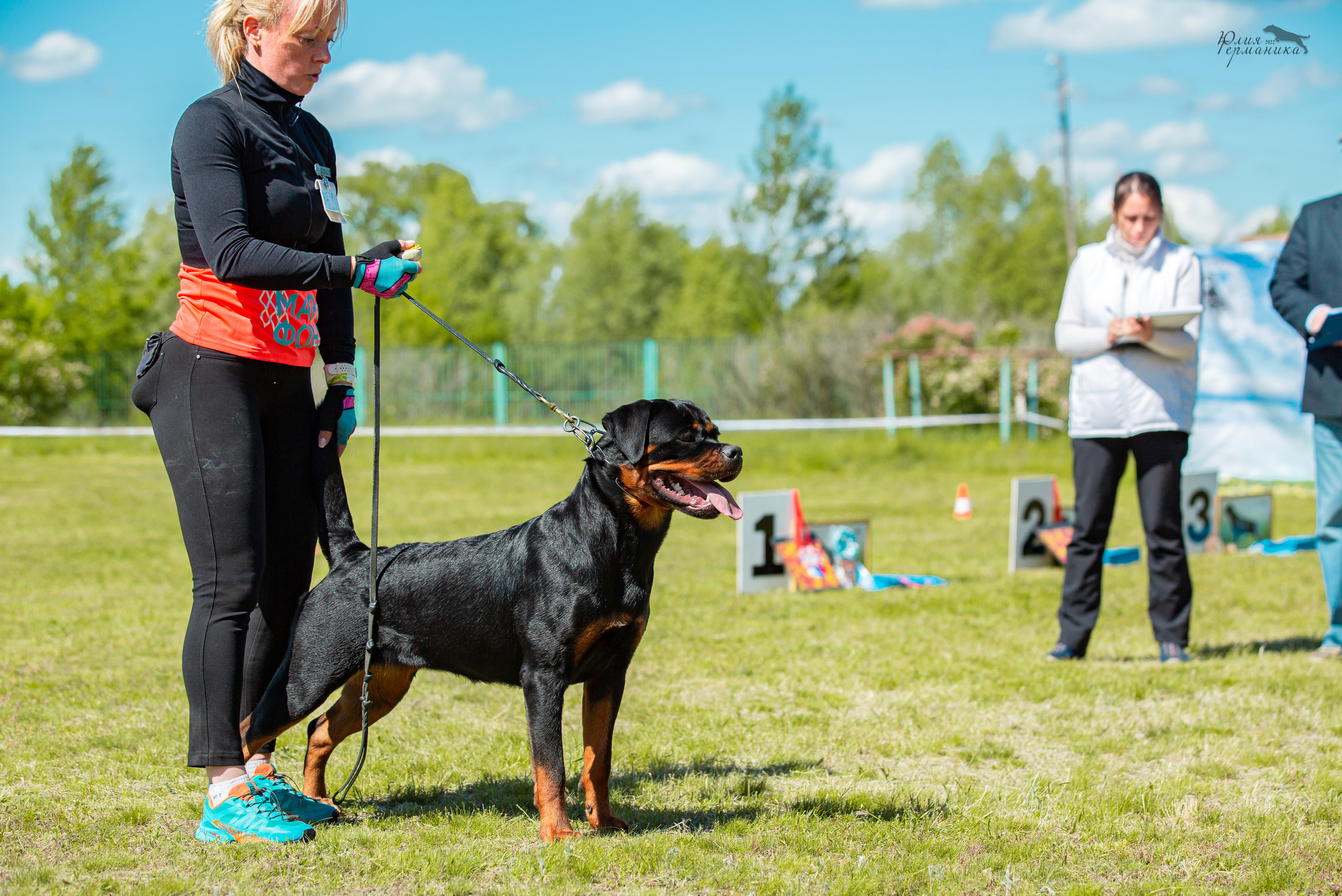 Воронеж моно ротвейлеров 28-29 мая 2022. Фотограф-анималист Юлия Германика