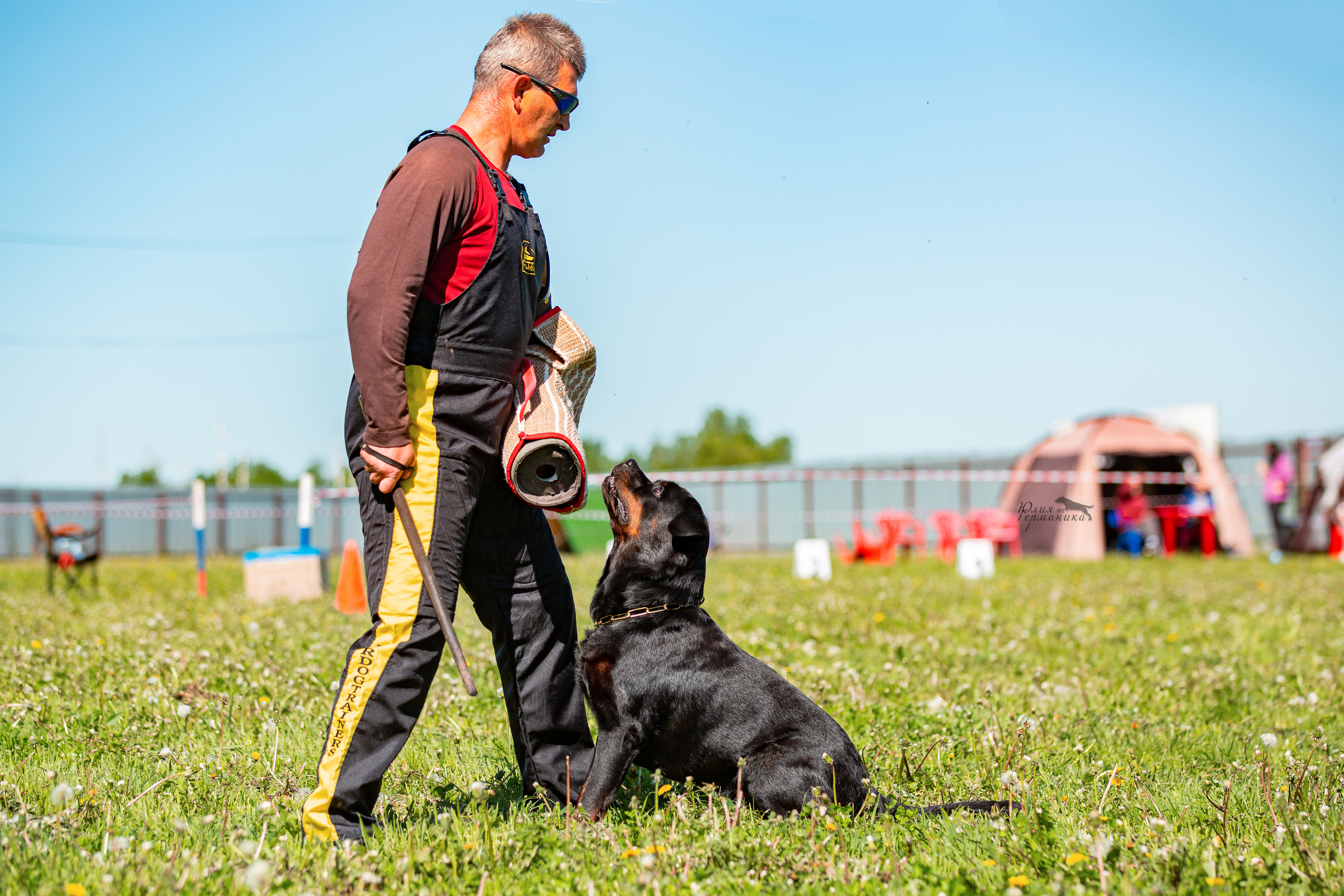 Нижний Новгород моно ротвейлеров 4 июня 2022. Фотограф-анималист Юлия Германика
