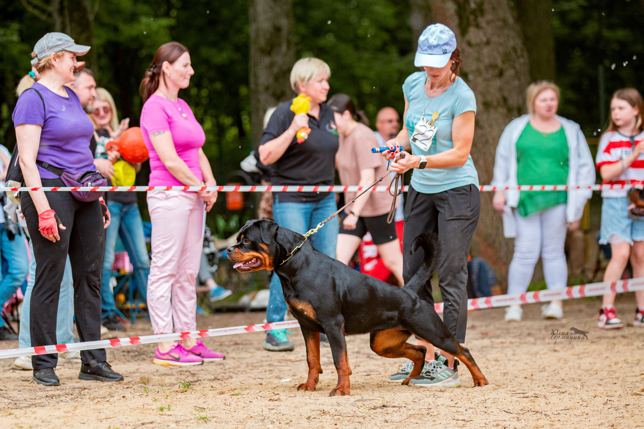 Смоленск 12.06,   Ховрино 13.06,    Питер 18.06 2022. Фотограф-анималист Юлия Германика