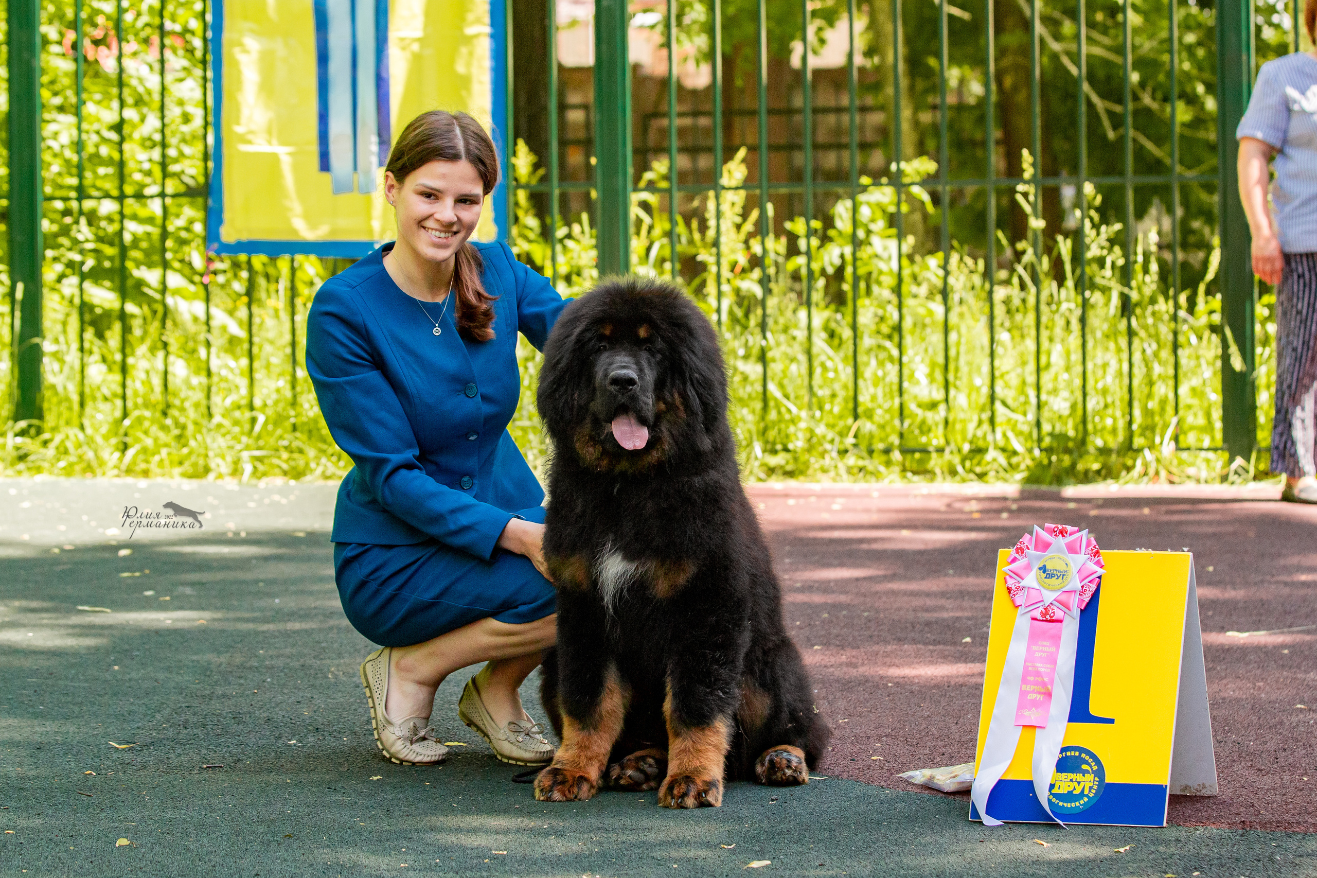 Сергиев Посад 2хСАС 25.06.2022. Фотограф-анималист Юлия Германика