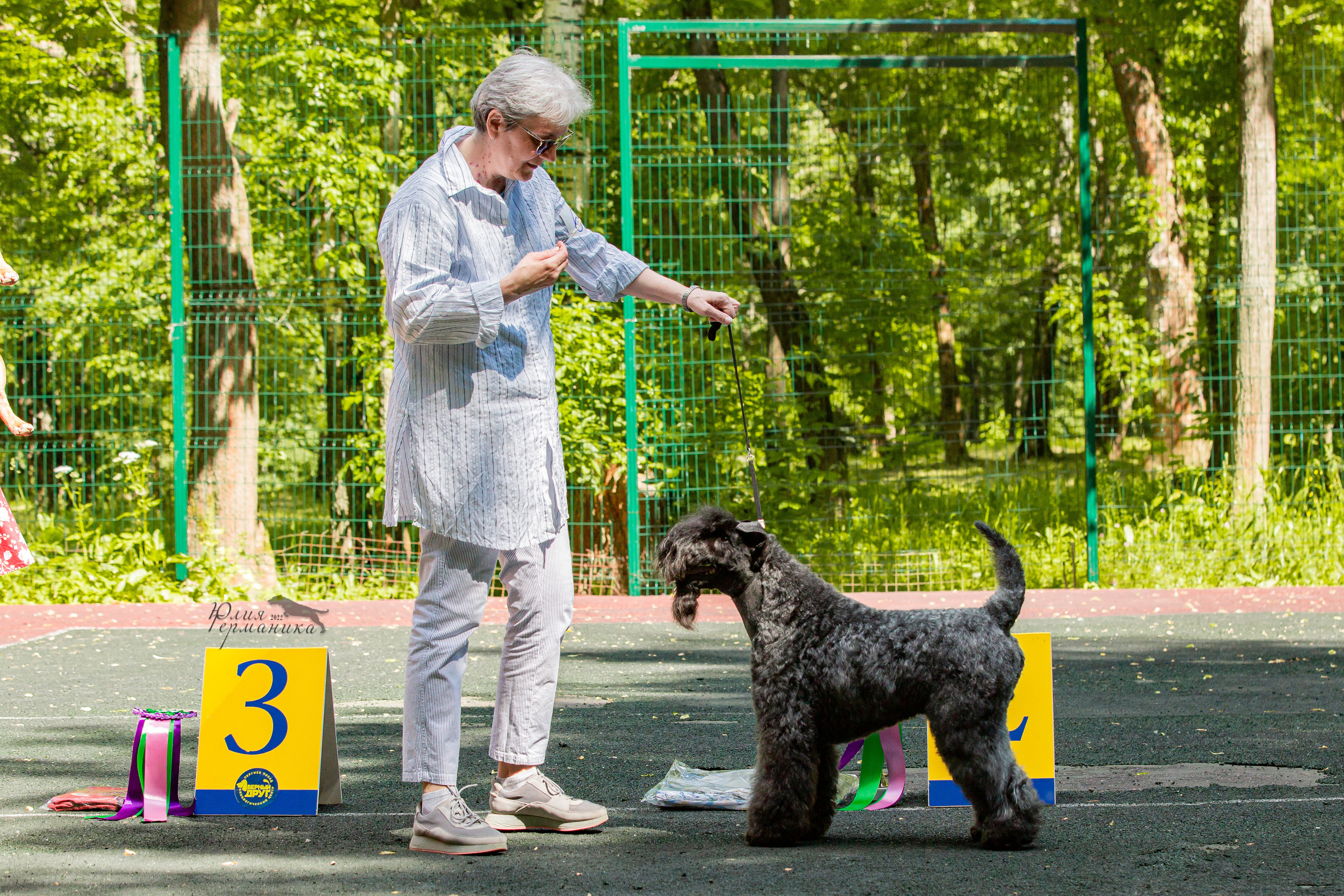 Сергиев Посад 2хСАС 25.06.2022. Фотограф-анималист Юлия Германика