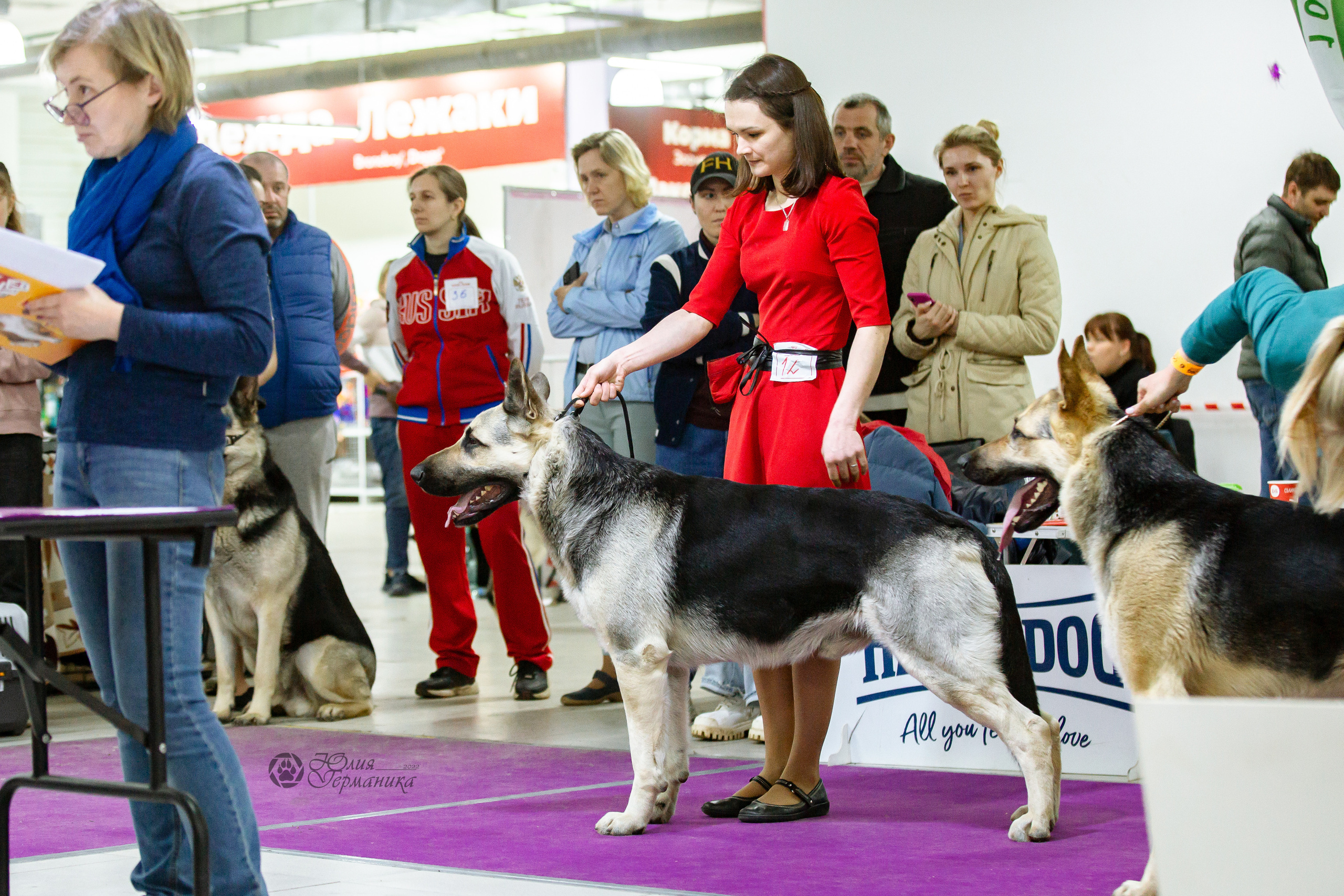 Чайна-Таун 16-17 апреля 2022. Фотограф-анималист Юлия Германика