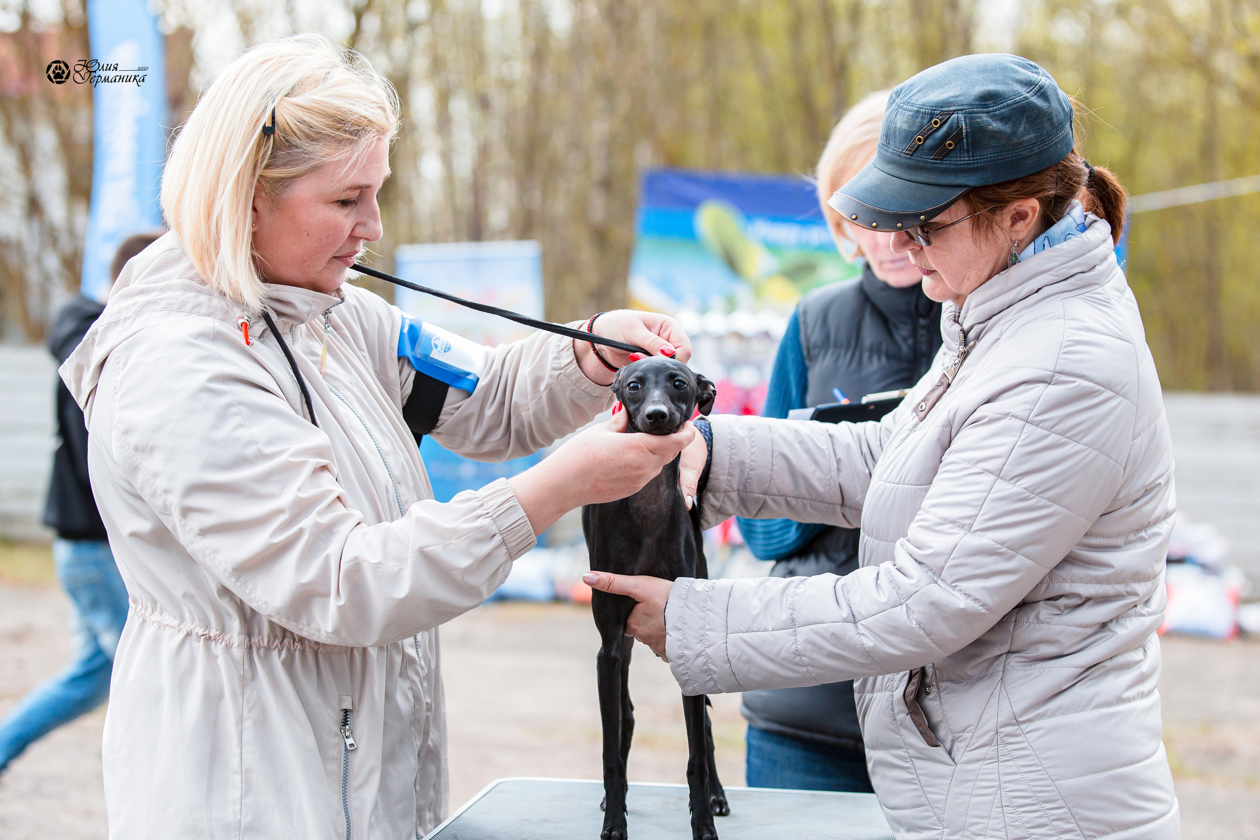 Александров 2хСАС 8 мая 2022. Фотограф-анималист Юлия Германика
