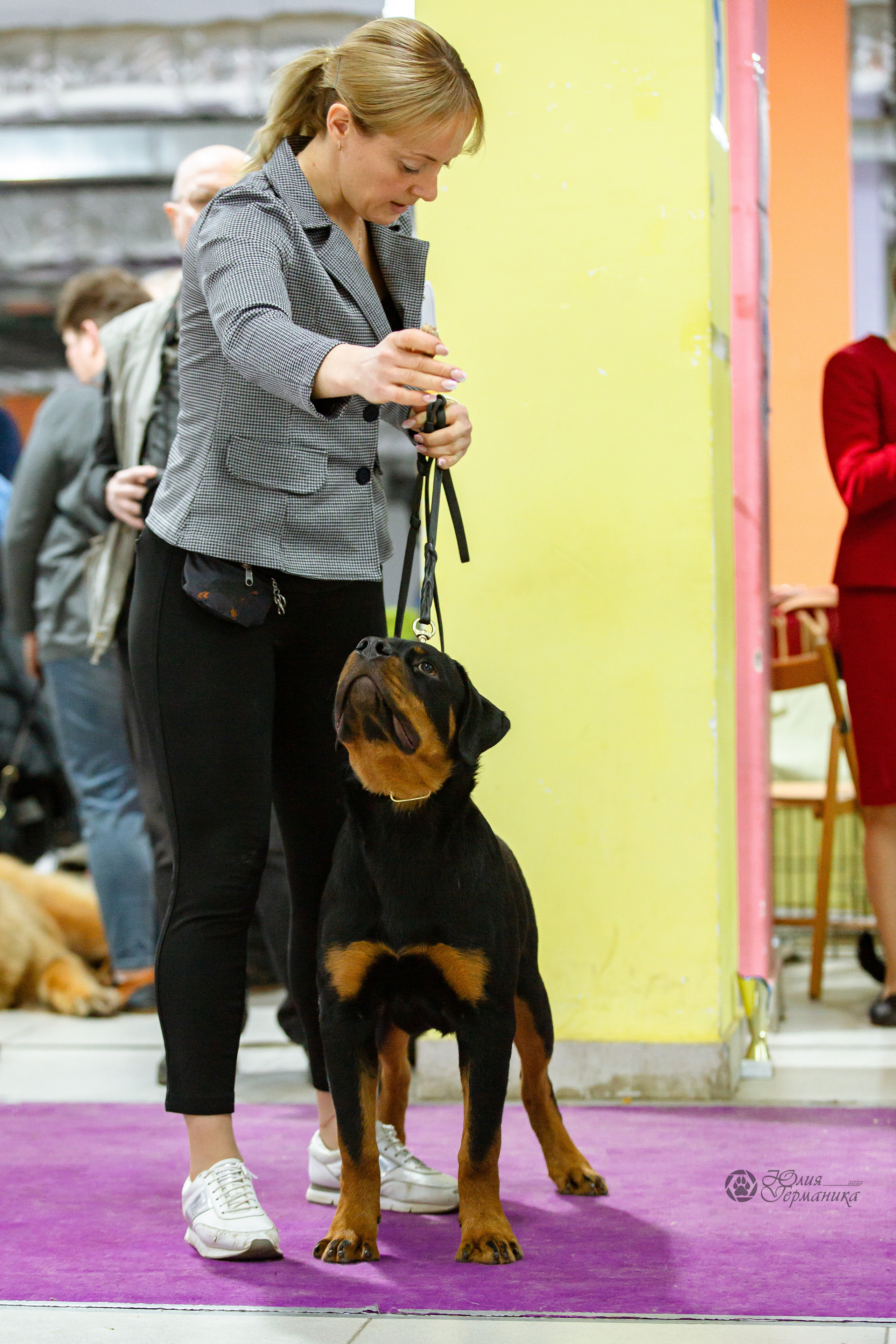 Чайна-Таун 16-17 апреля 2022. Фотограф-анималист Юлия Германика