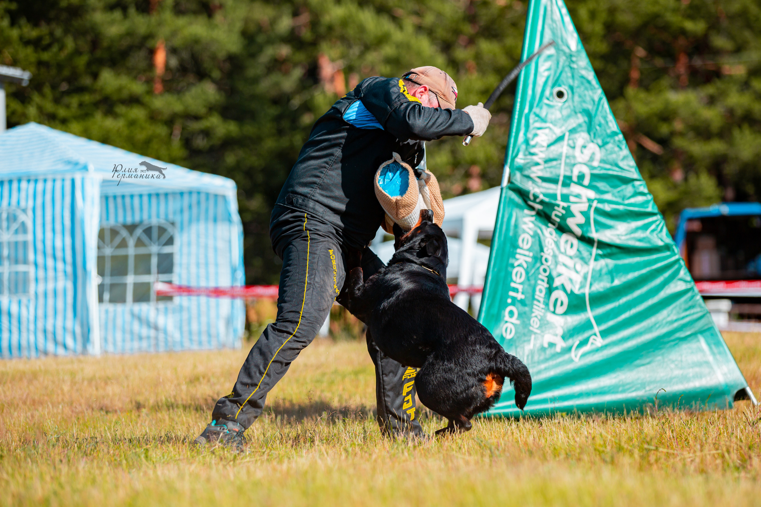 Тверь моно ротвейлеров 2-3.07.2022. Фотограф-анималист Юлия Германика