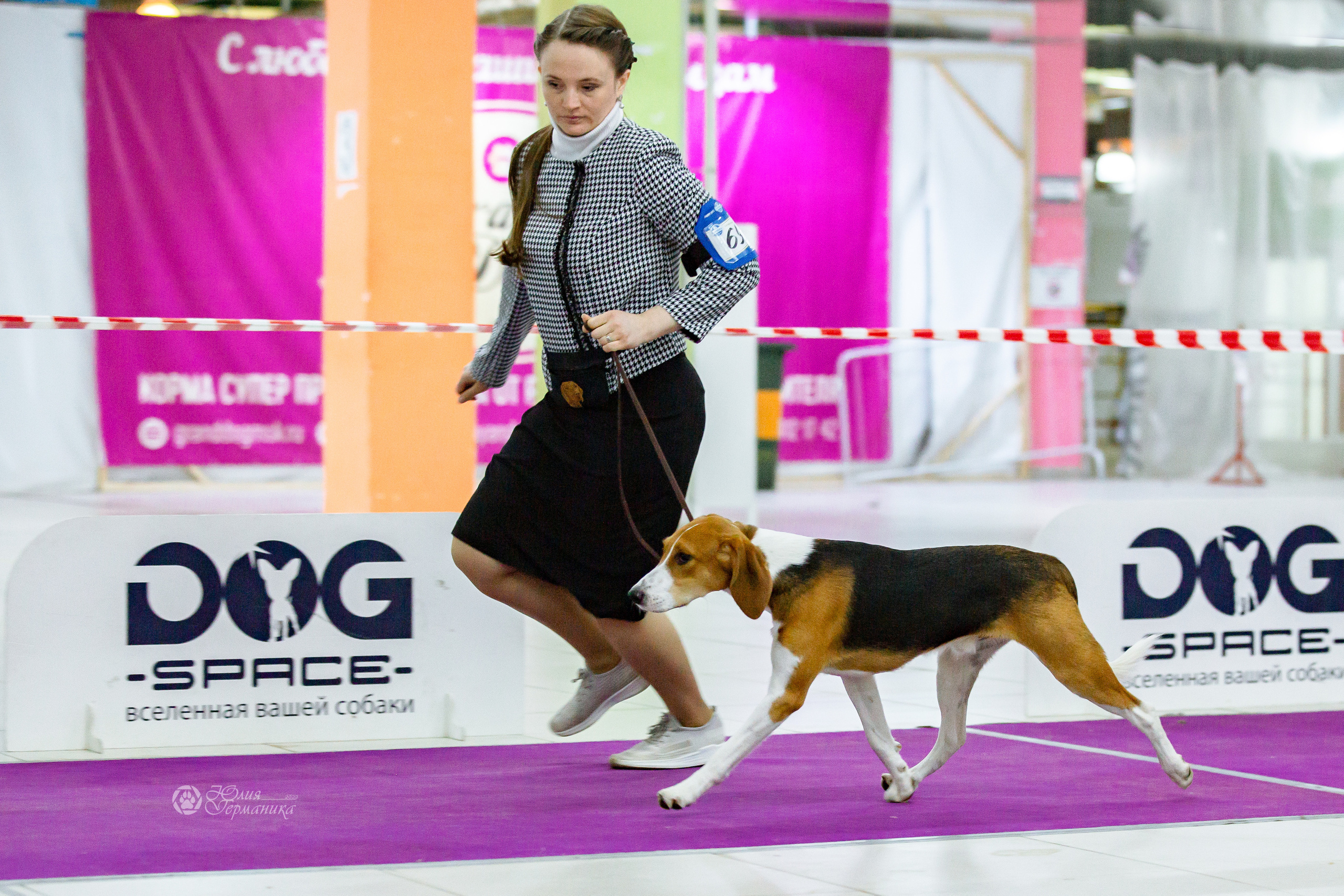 Чайна-Таун 16-17 апреля 2022. Фотограф-анималист Юлия Германика