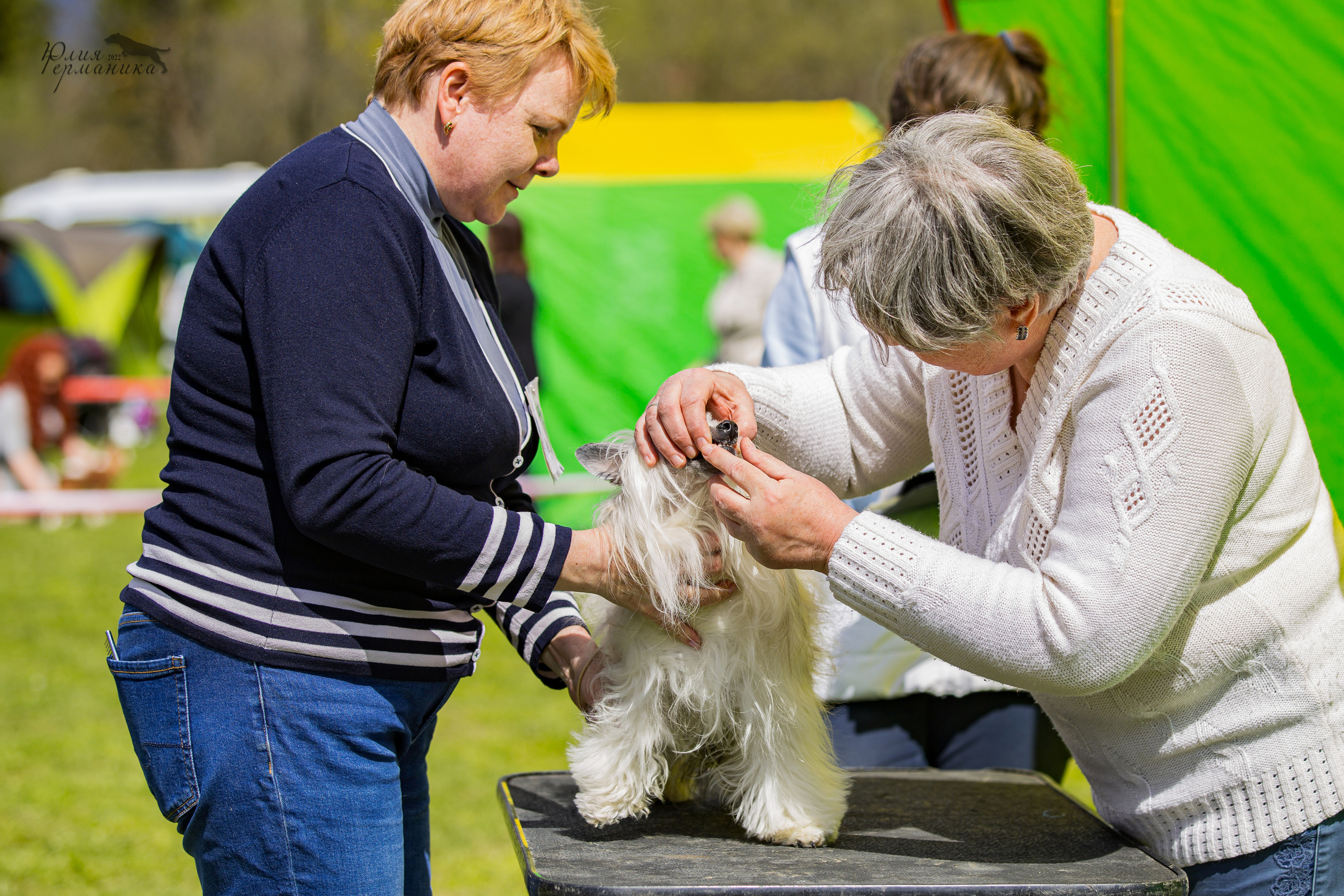 Пушкино 2хЧРКФ 14 мая 2022. Фотограф-анималист Юлия Германика