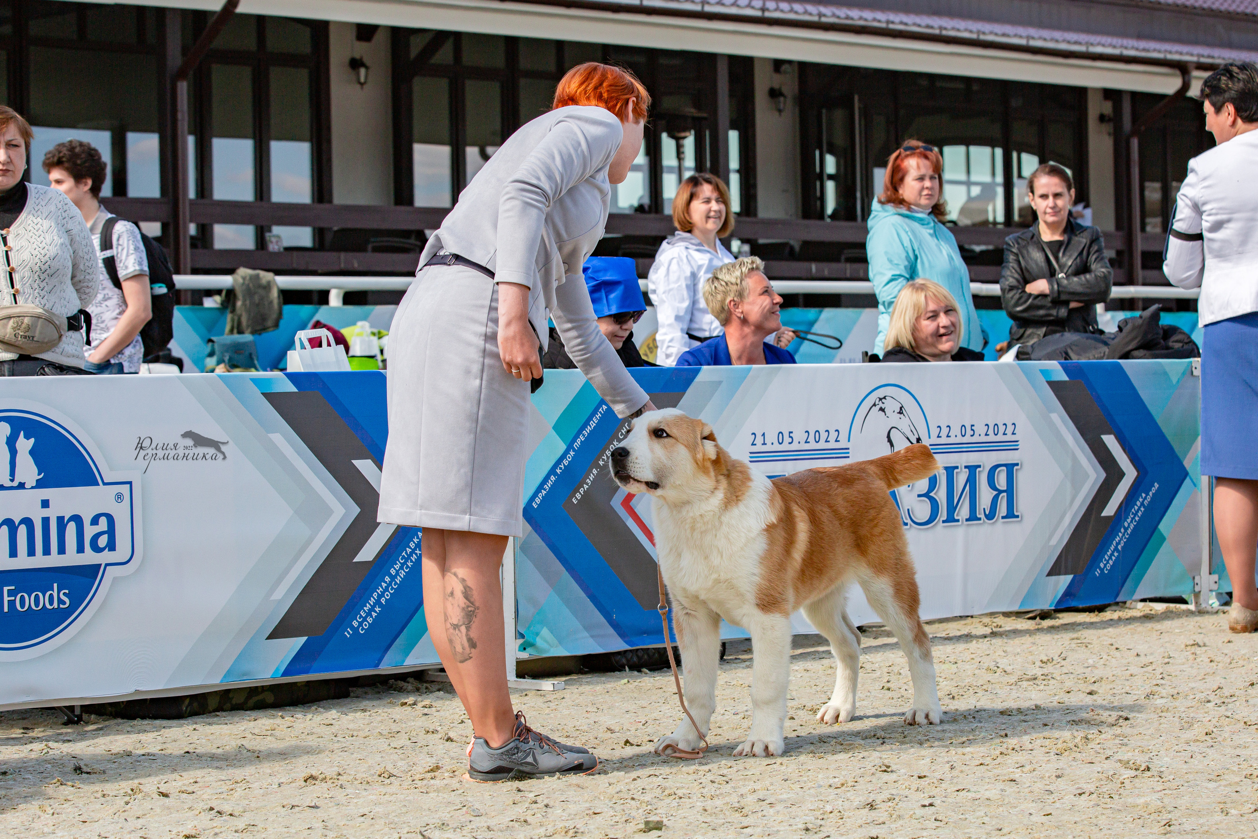 Евразия 21-22 мая 2022. Фотограф-анималист Юлия Германика