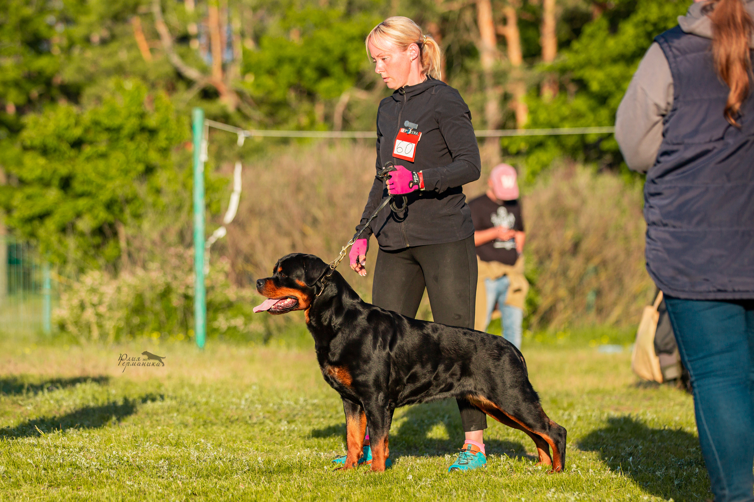 Воронеж моно ротвейлеров 28-29 мая 2022. Фотограф-анималист Юлия Германика