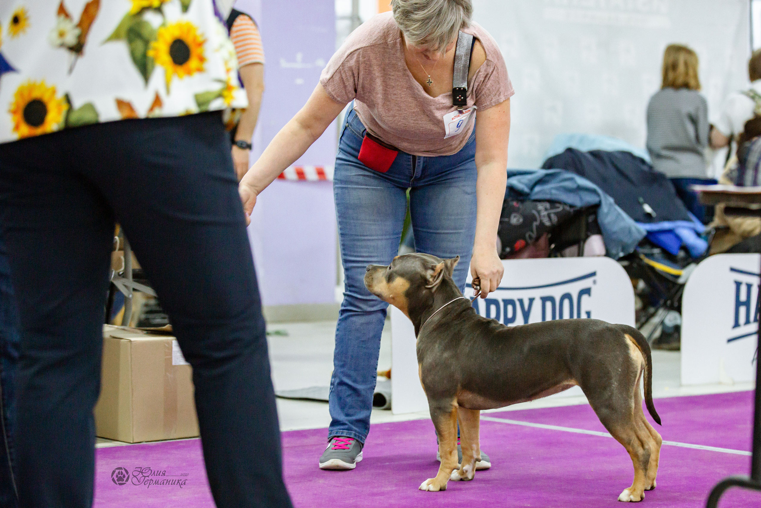 Чайна-Таун 16-17 апреля 2022. Фотограф-анималист Юлия Германика