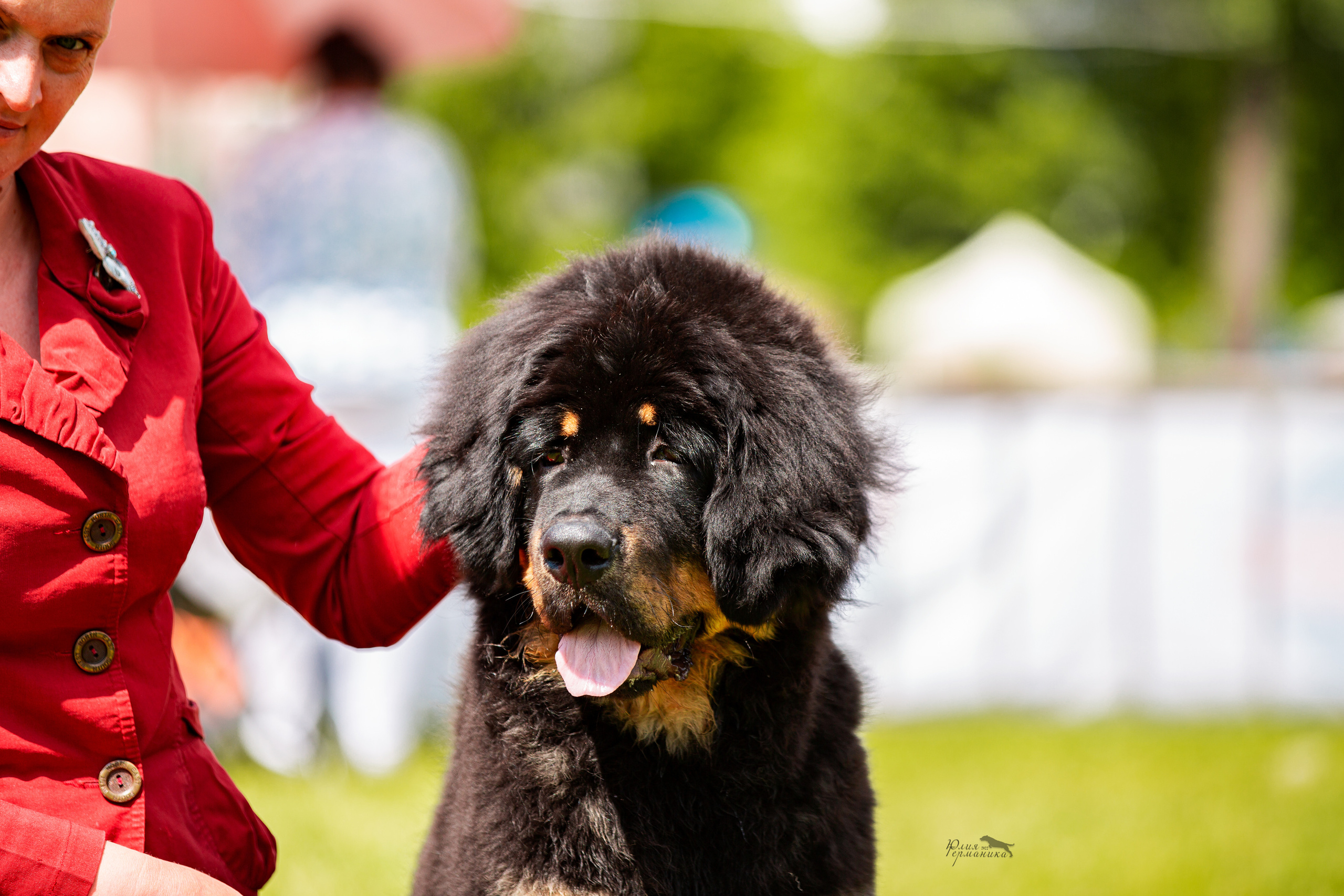 Смоленск 12.06,   Ховрино 13.06,    Питер 18.06 2022. Фотограф-анималист Юлия Германика