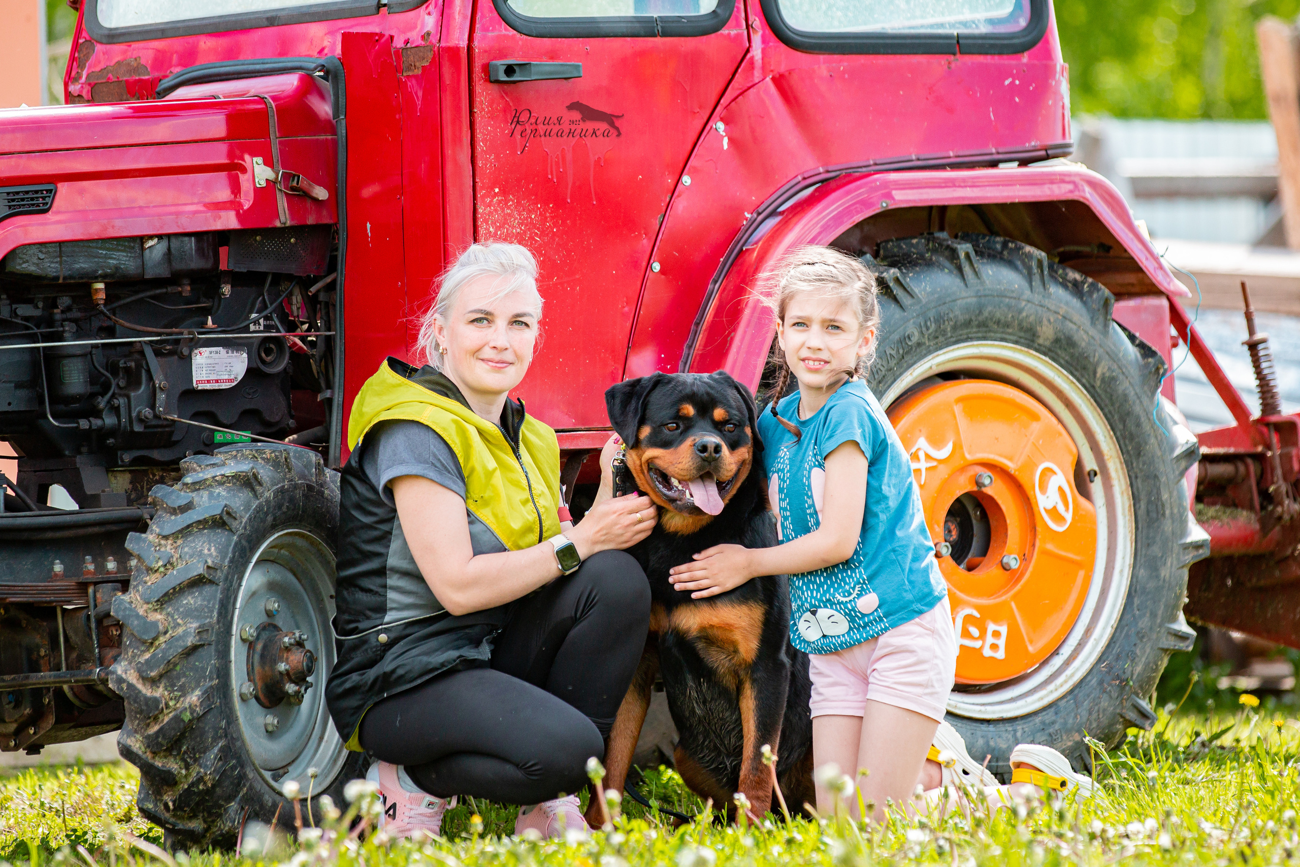 Нижний Новгород моно ротвейлеров 4 июня 2022. Фотограф-анималист Юлия Германика
