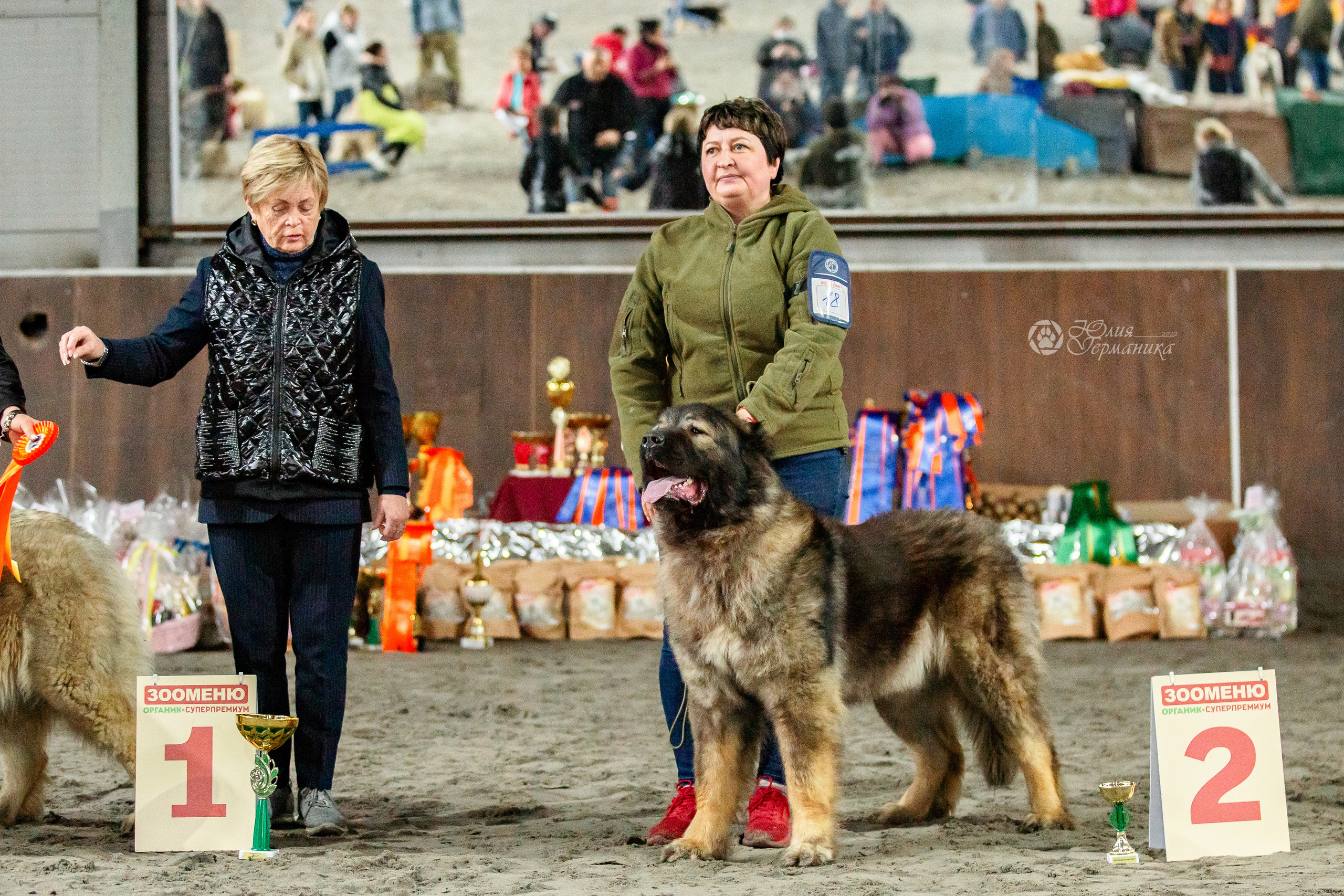 Националка САО+КЧК 24 апреля 2022. Фотограф-анималист Юлия Германика