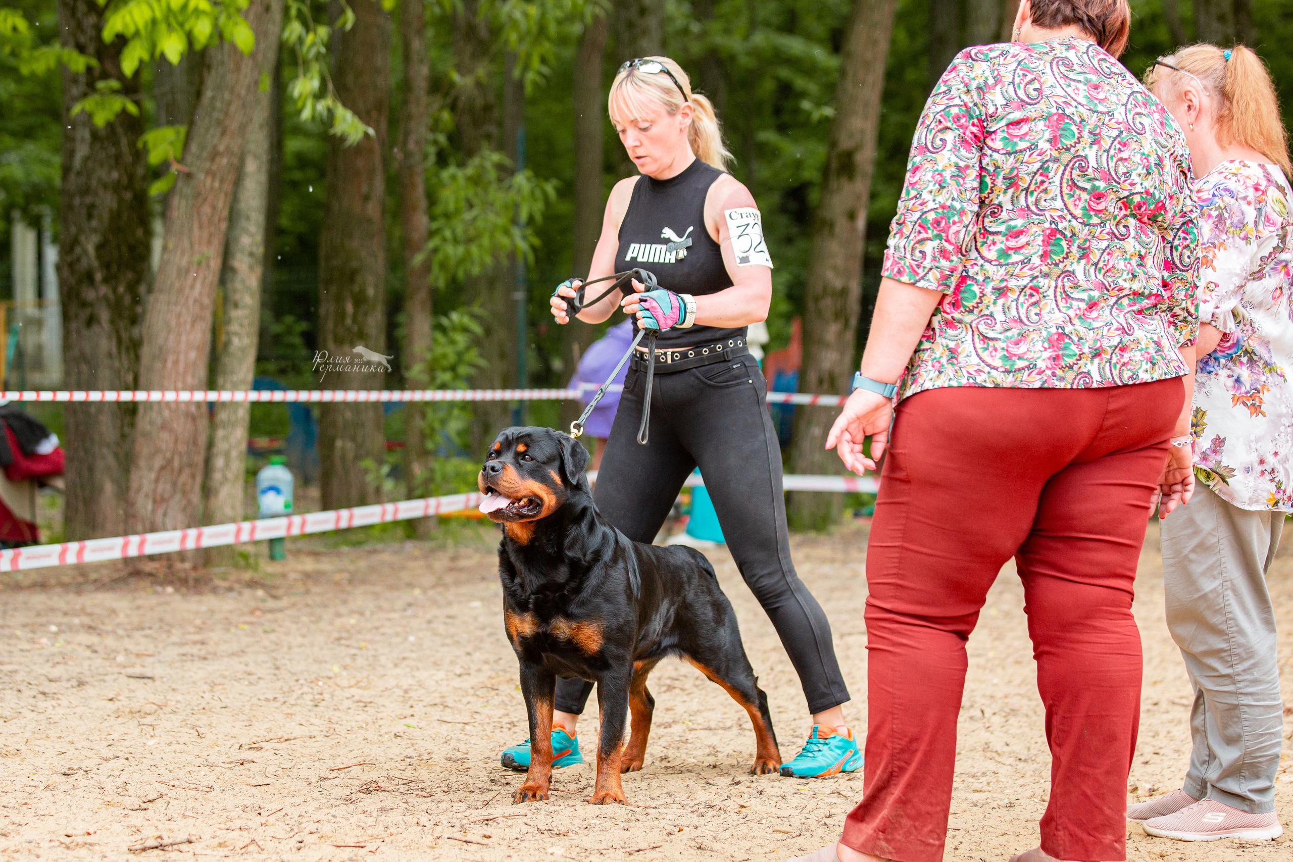 Смоленск 12.06,   Ховрино 13.06,    Питер 18.06 2022. Фотограф-анималист Юлия Германика