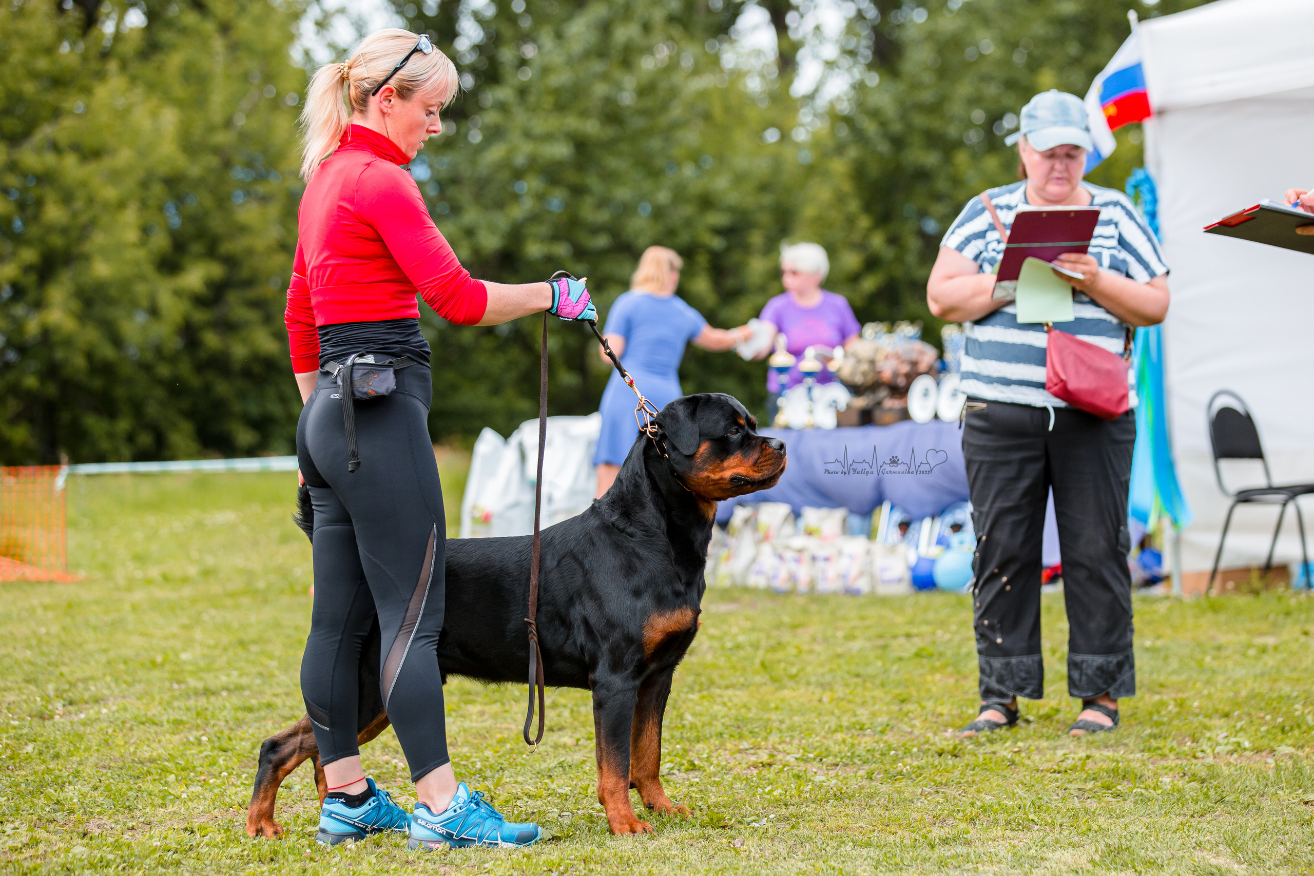 Санкт-Петербург моно ротвейлеров 23.07.2022. Фотограф-анималист Юлия Германика