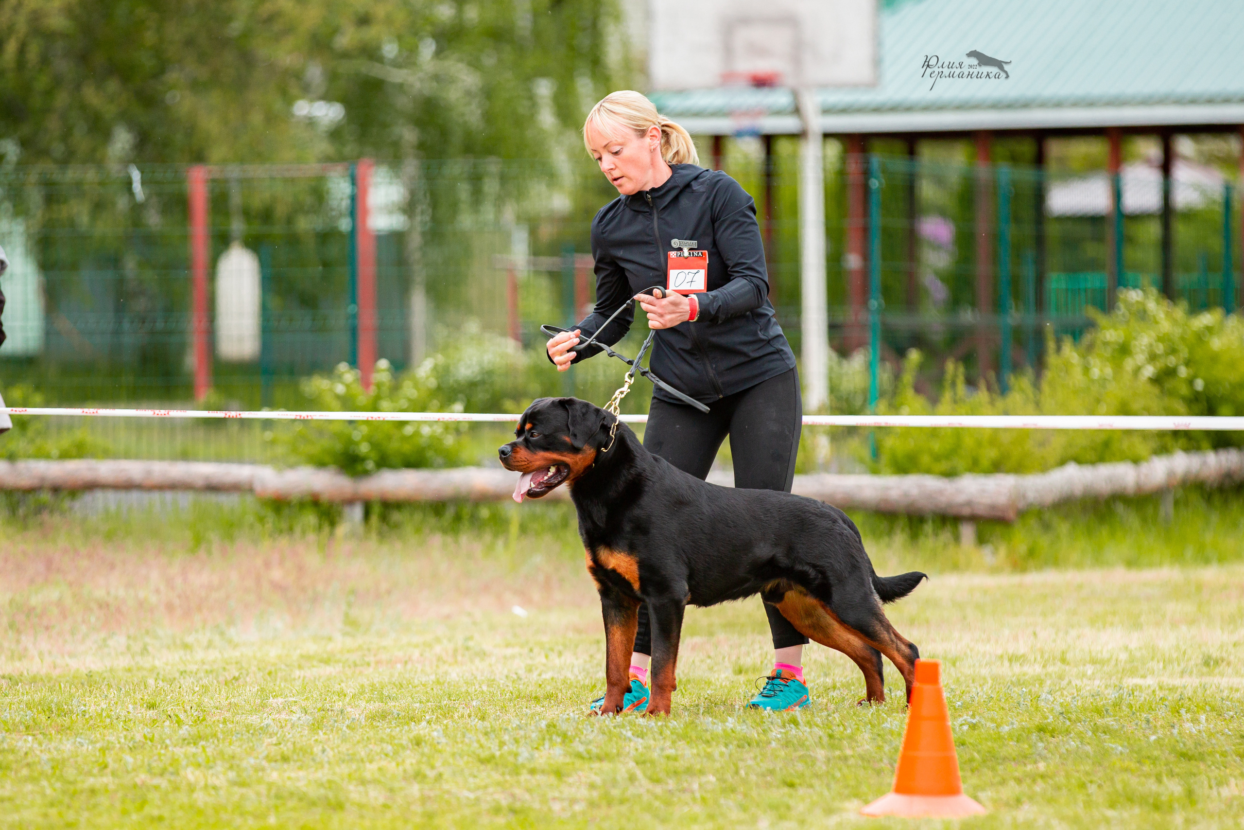 Воронеж моно ротвейлеров 28-29 мая 2022. Фотограф-анималист Юлия Германика