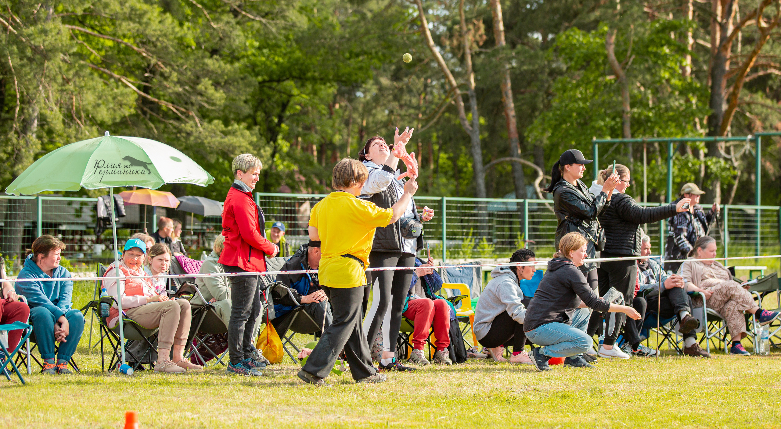 Воронеж моно ротвейлеров 28-29 мая 2022. Фотограф-анималист Юлия Германика