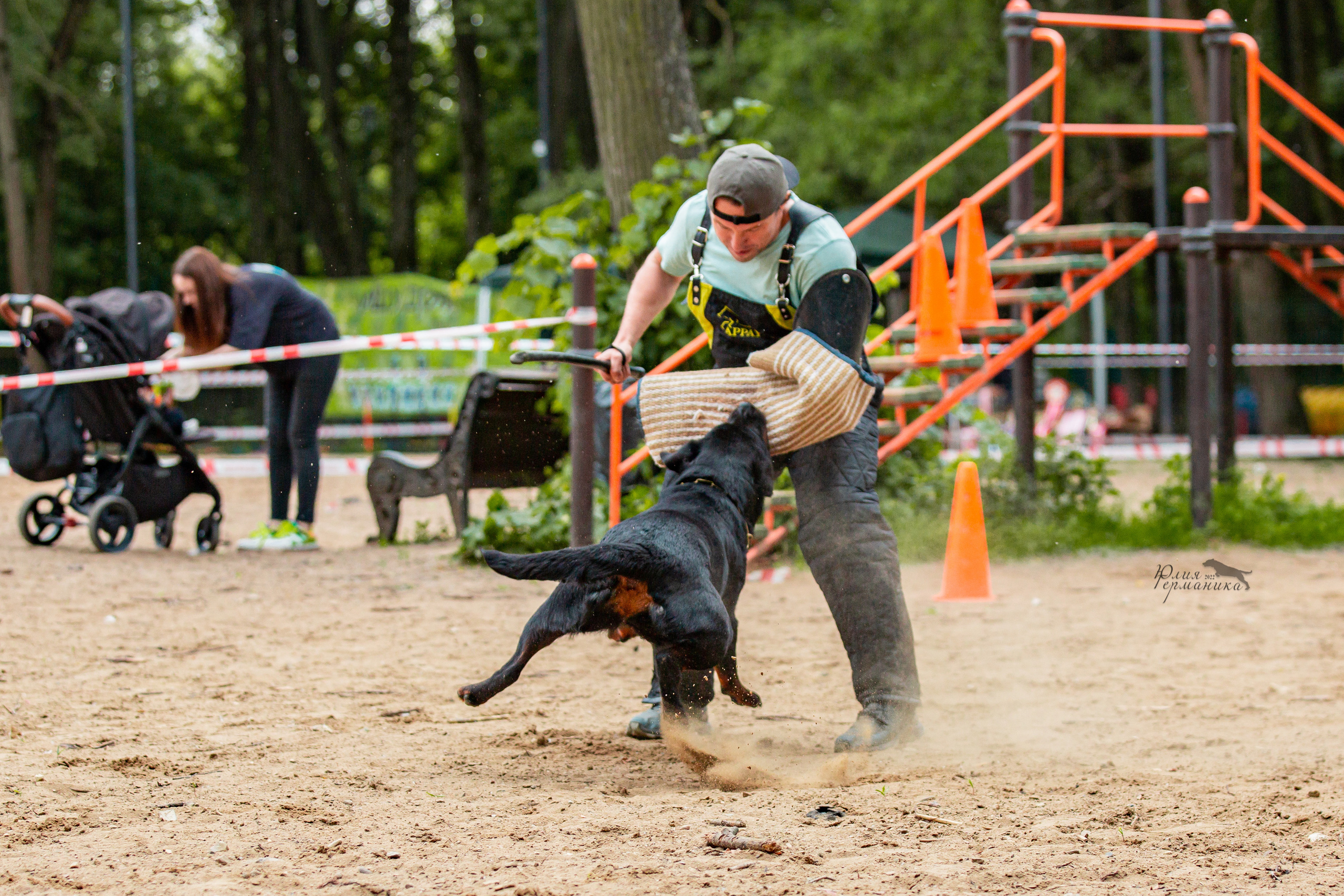 Смоленск 12.06,   Ховрино 13.06,    Питер 18.06 2022. Фотограф-анималист Юлия Германика