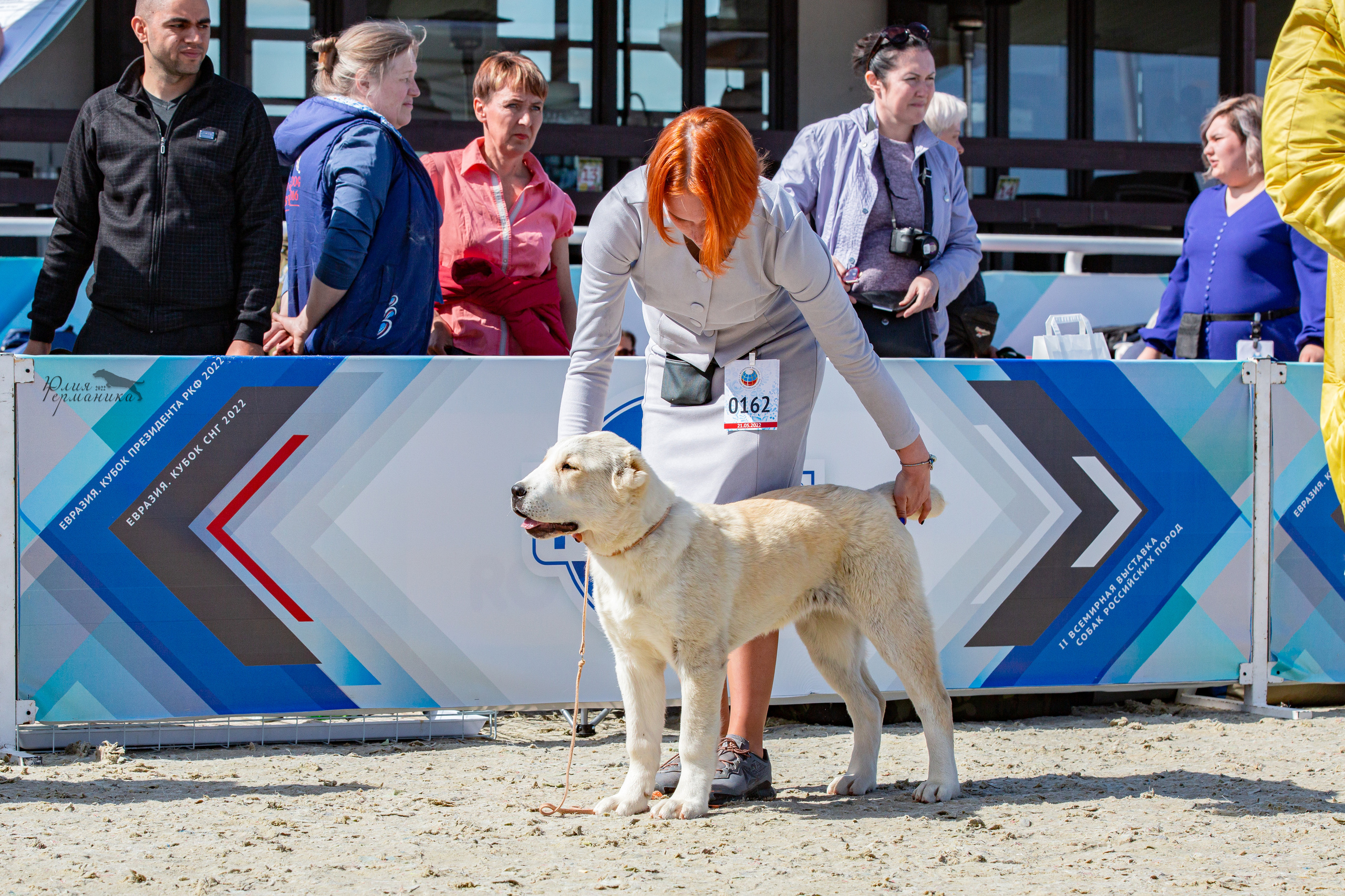 Евразия 21-22 мая 2022. Фотограф-анималист Юлия Германика