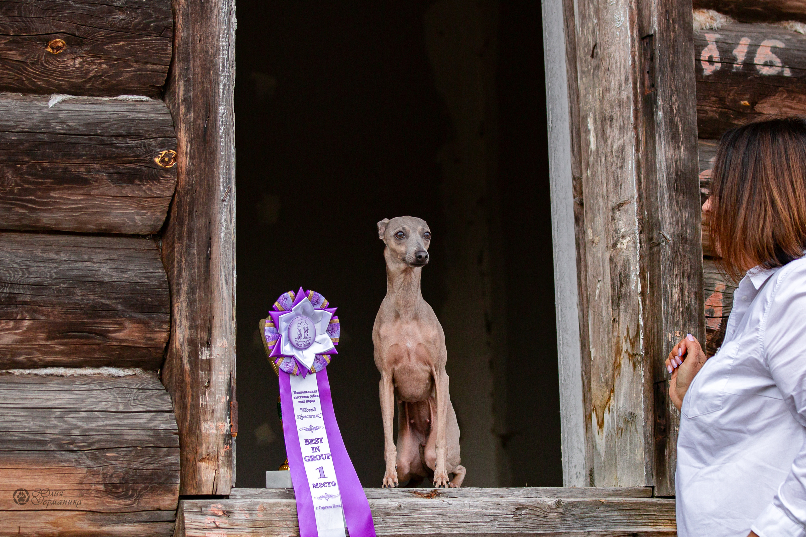 Сергиев Посад 23.04.2022. Фотограф-анималист Юлия Германика