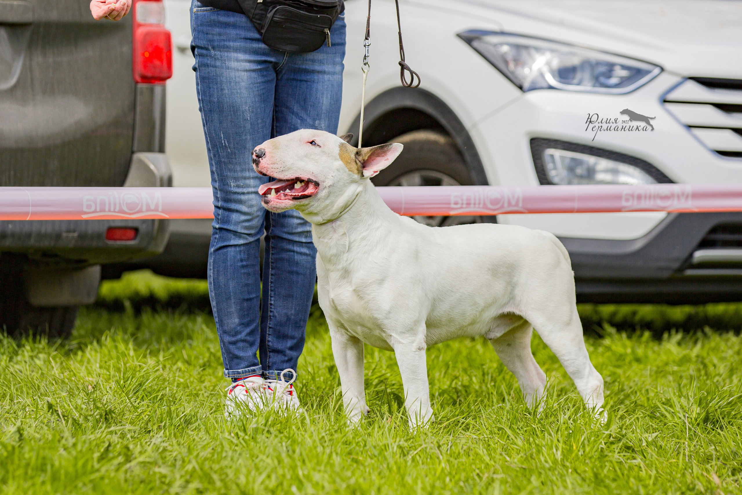 Пушкино 2хЧРКФ 14 мая 2022. Фотограф-анималист Юлия Германика
