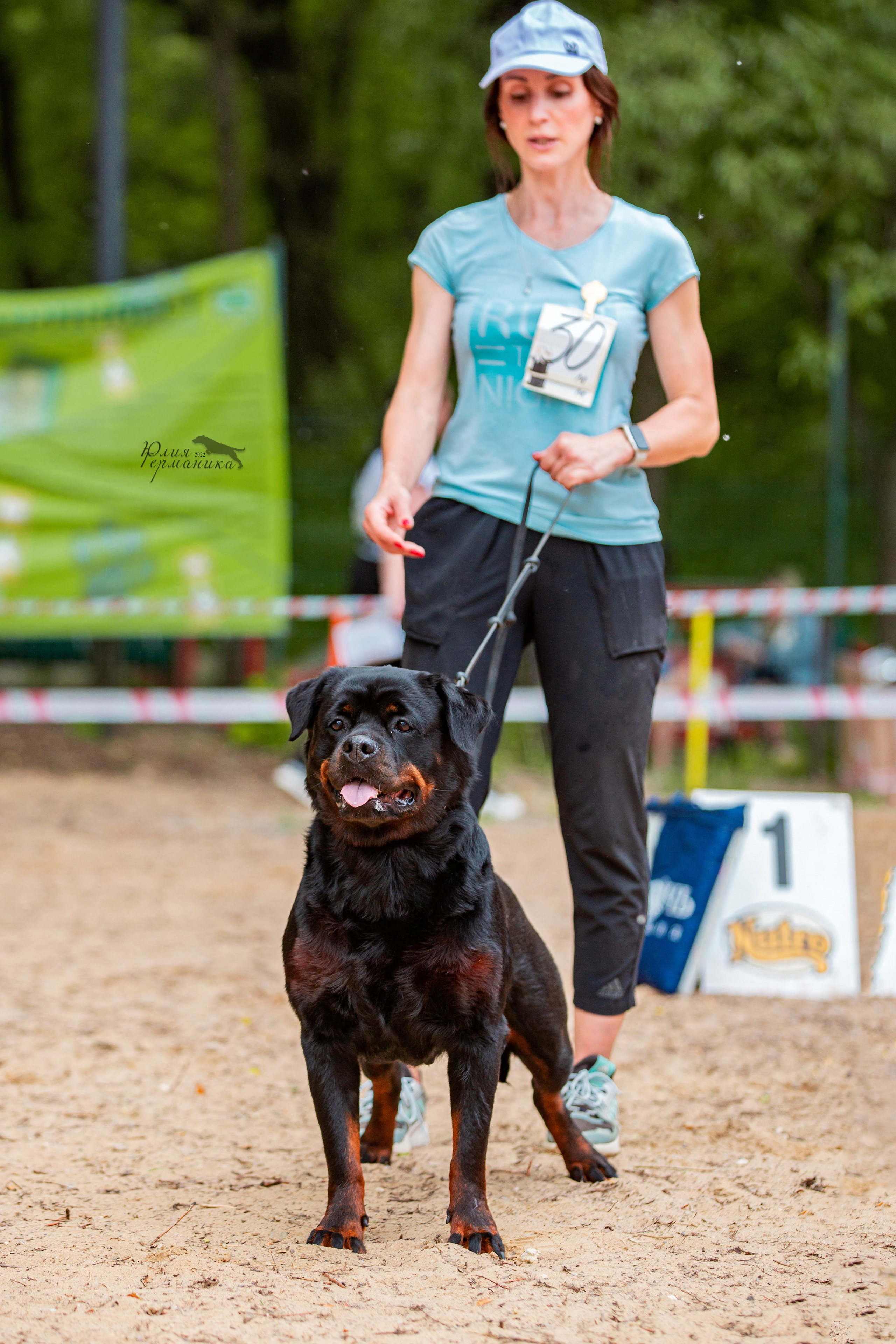 Смоленск 12.06,   Ховрино 13.06,    Питер 18.06 2022. Фотограф-анималист Юлия Германика