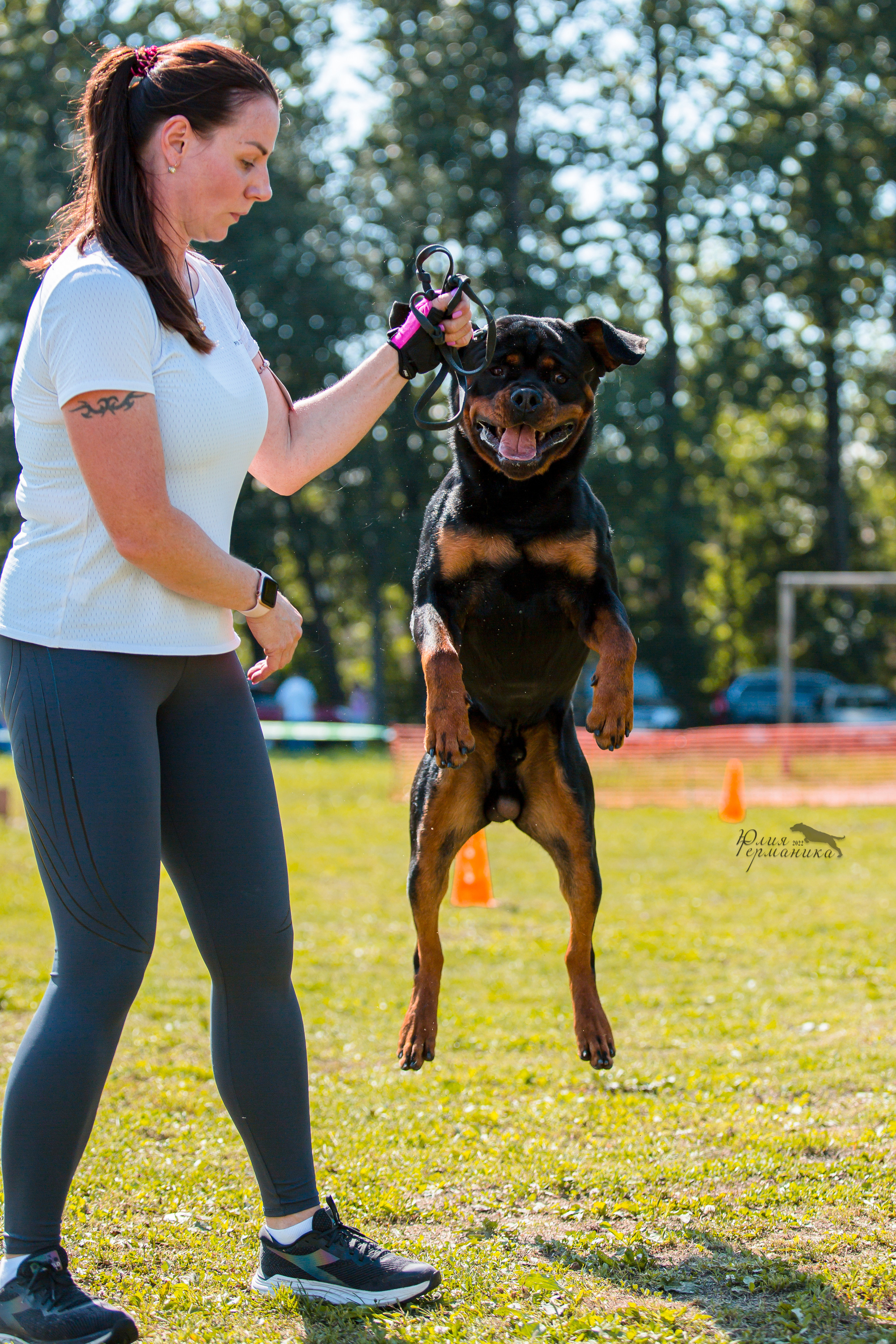 Санкт-Петербург моно ротвейлеров 23.07.2022. Фотограф-анималист Юлия Германика