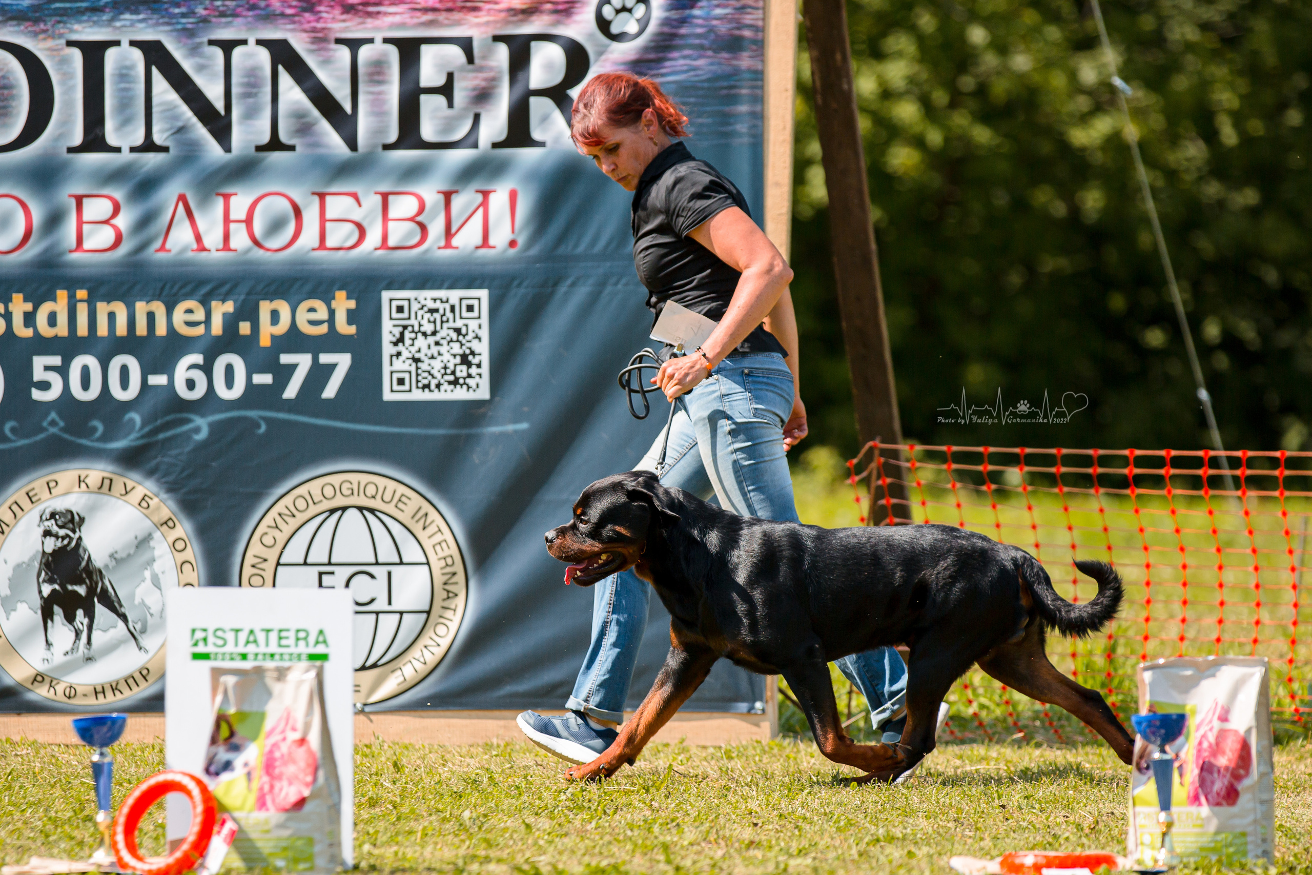 Санкт-Петербург моно ротвейлеров 23.07.2022. Фотограф-анималист Юлия Германика