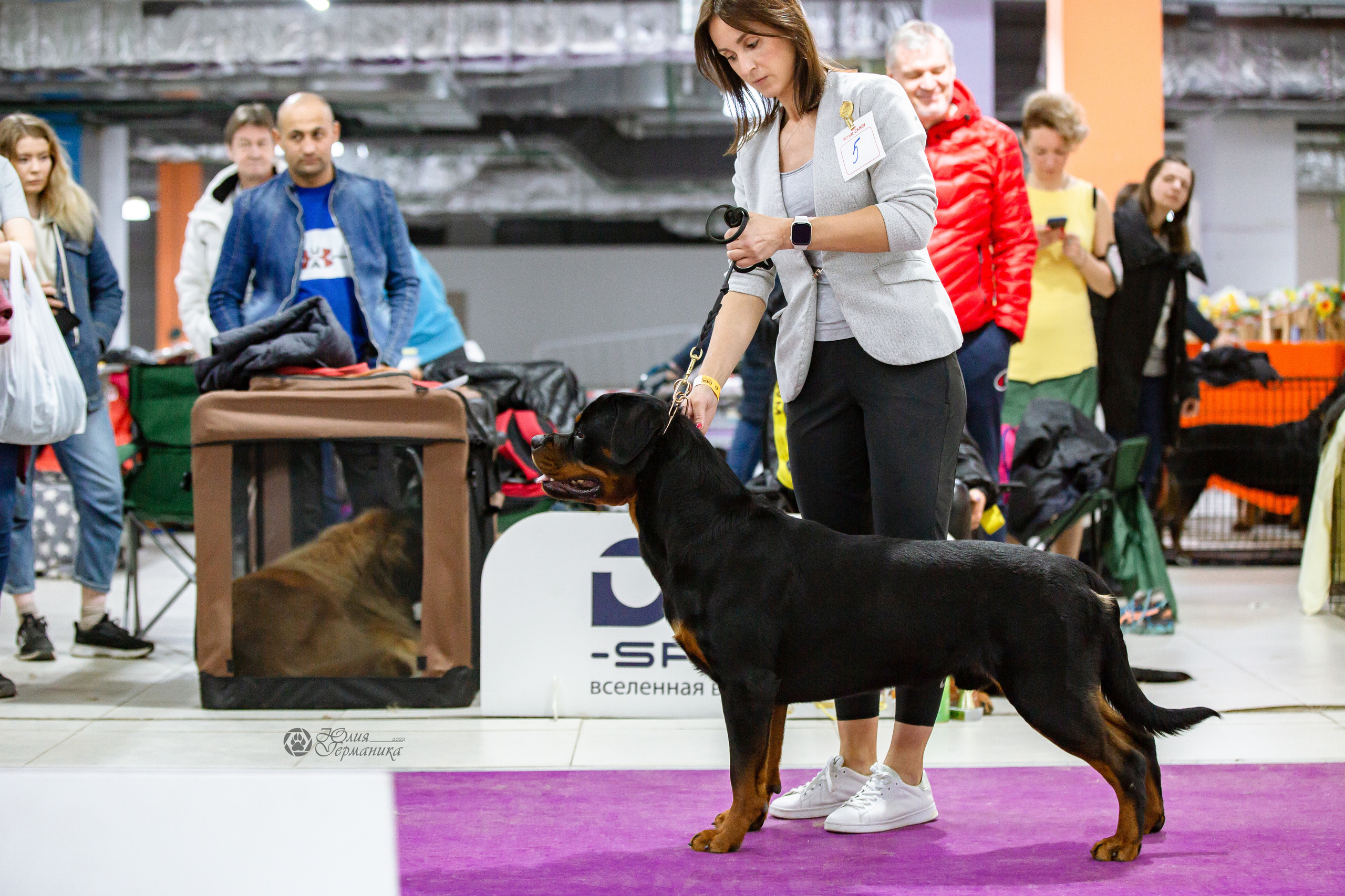Чайна-Таун 16-17 апреля 2022. Фотограф-анималист Юлия Германика