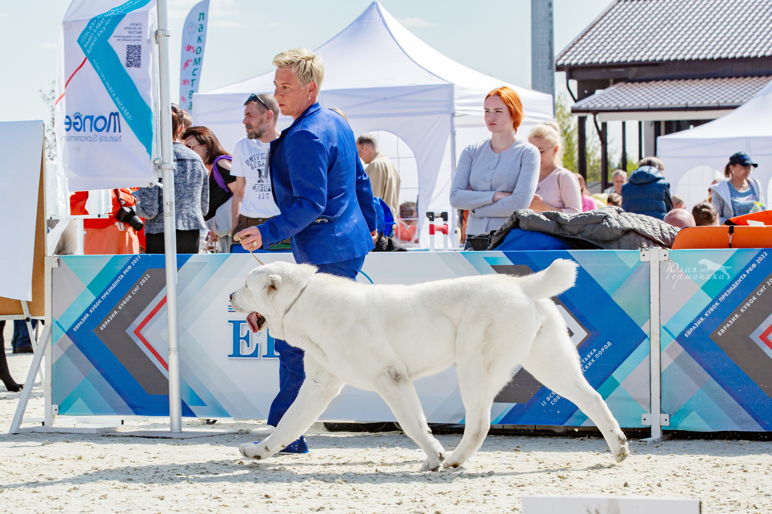 Евразия 21-22 мая 2022. Фотограф-анималист Юлия Германика