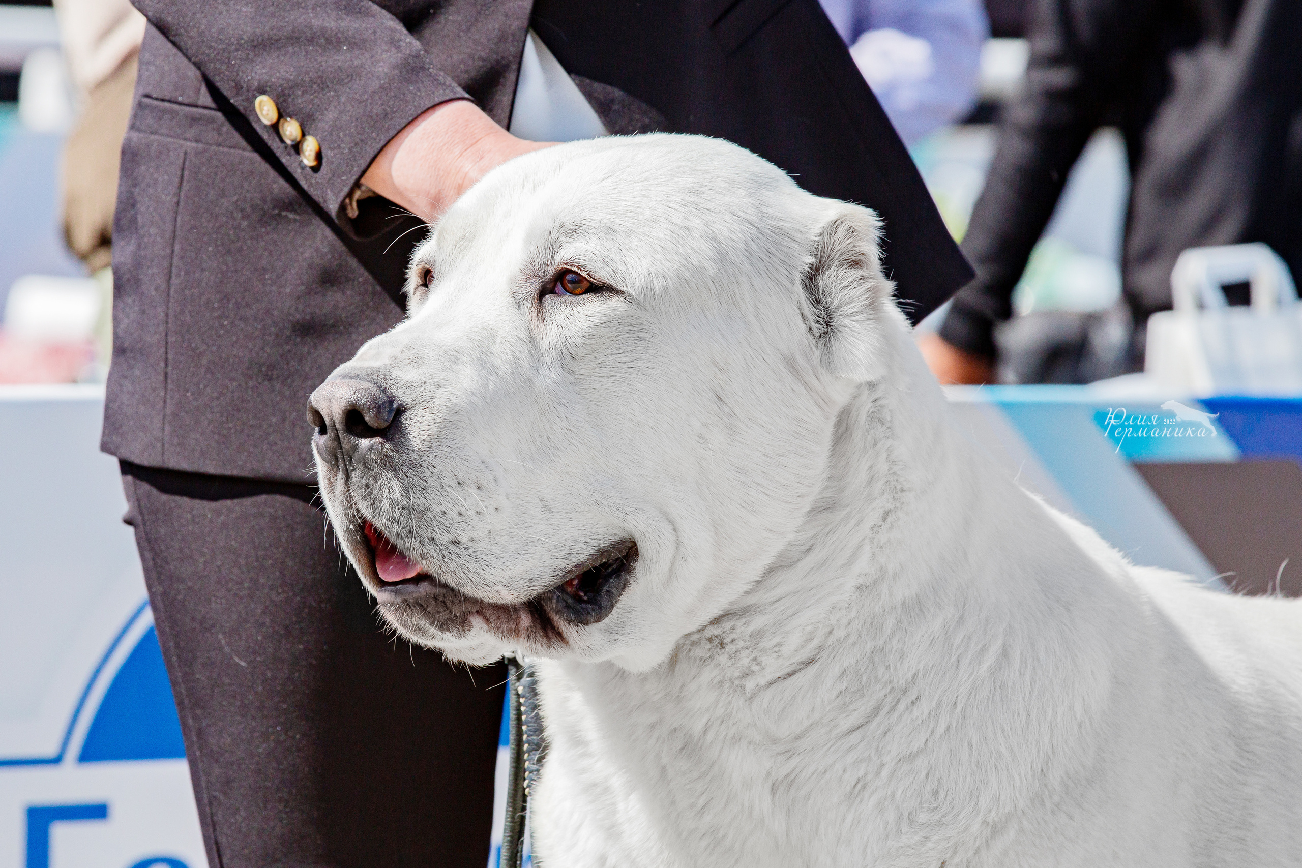 Евразия 21-22 мая 2022. Фотограф-анималист Юлия Германика