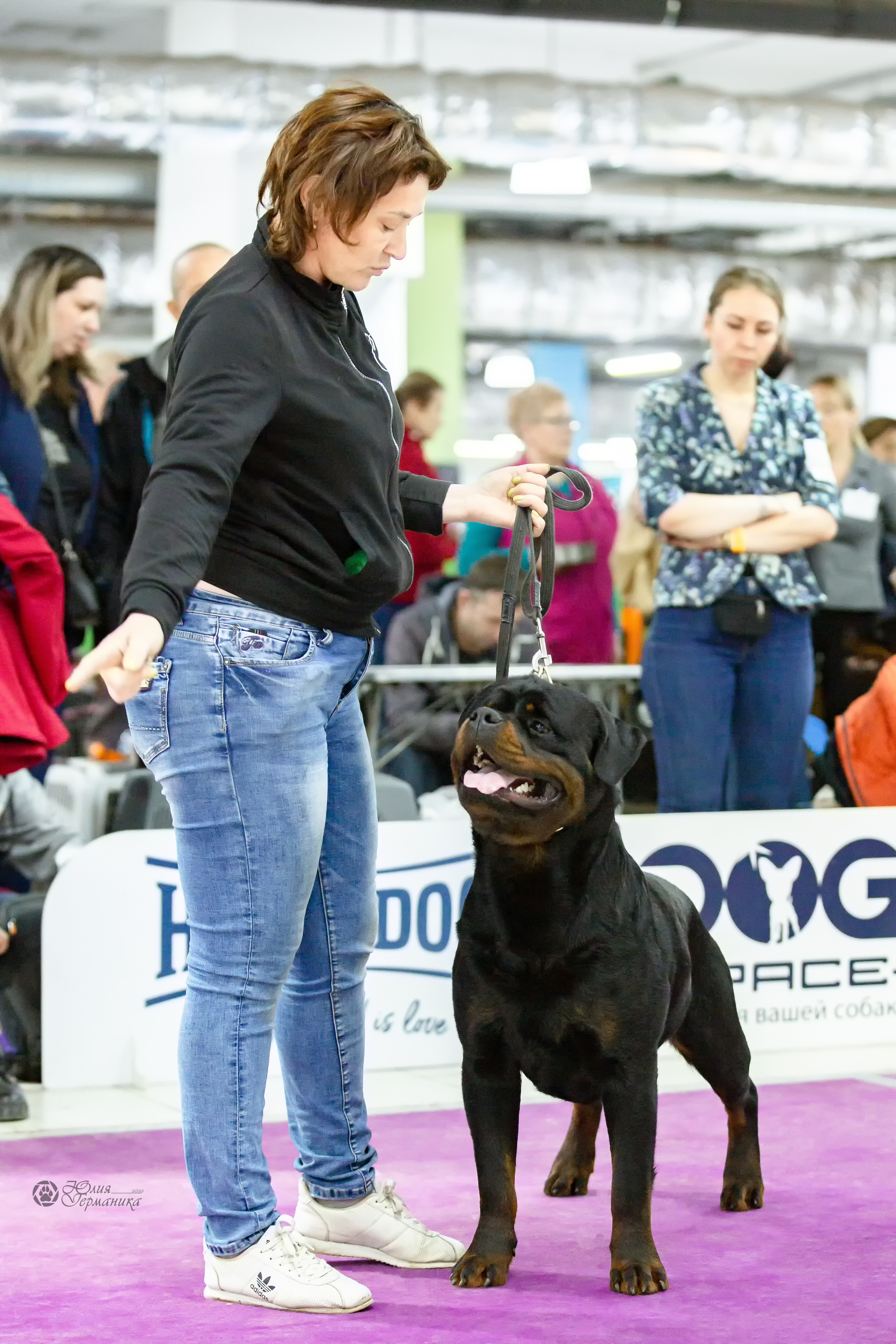 Чайна-Таун 16-17 апреля 2022. Фотограф-анималист Юлия Германика