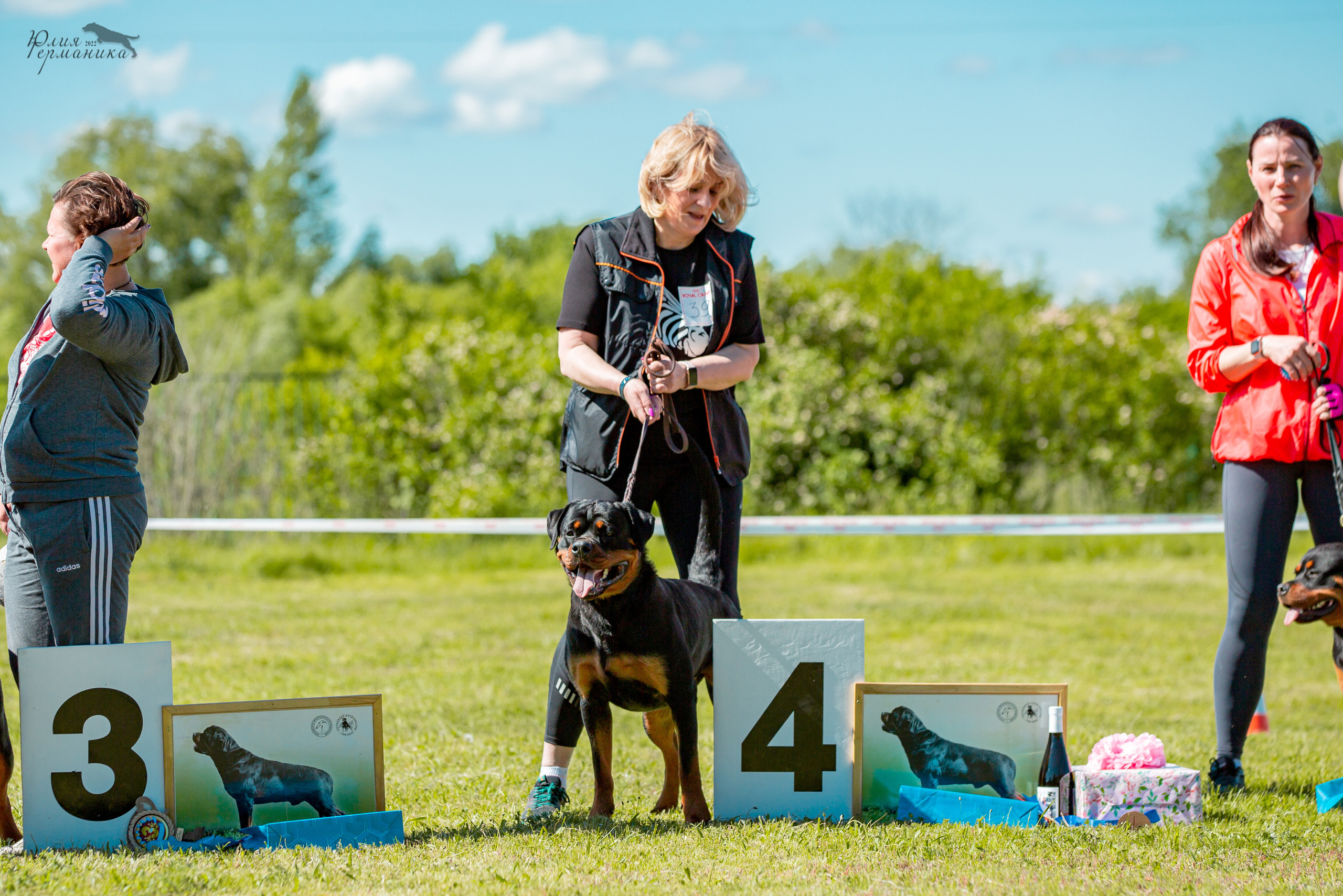 Воронеж моно ротвейлеров 28-29 мая 2022. Фотограф-анималист Юлия Германика