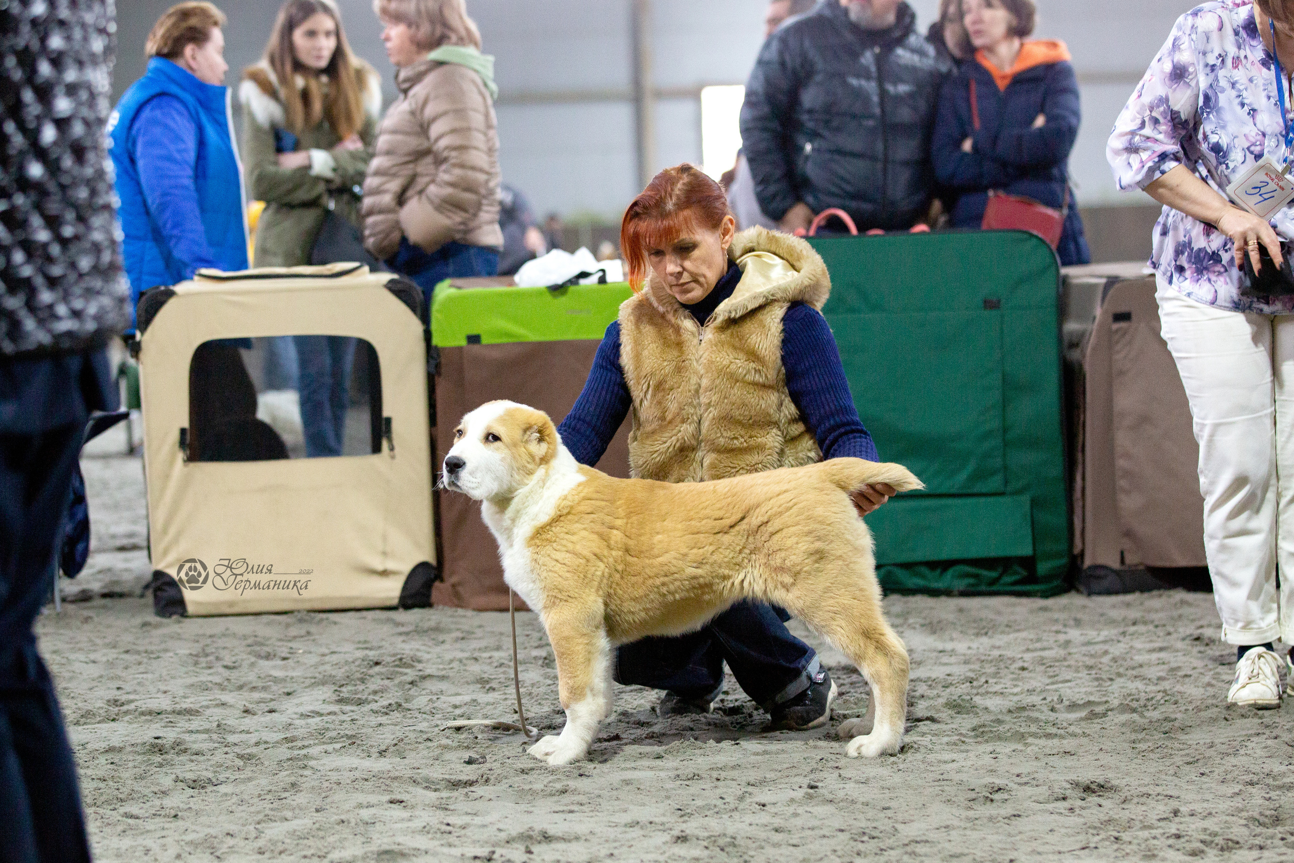 Националка САО+КЧК 24 апреля 2022. Фотограф-анималист Юлия Германика