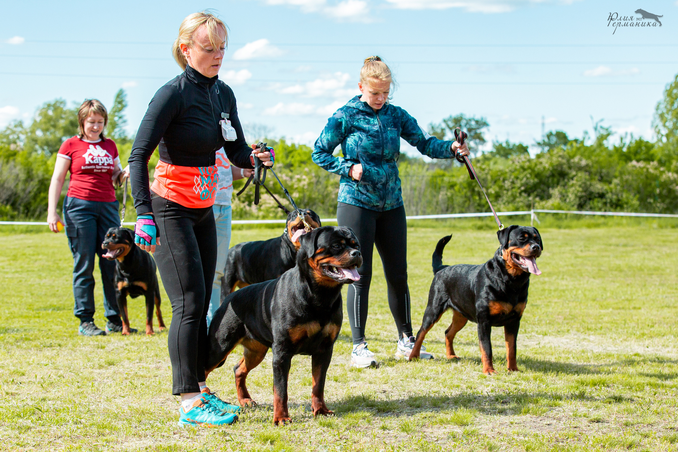 Воронеж моно ротвейлеров 28-29 мая 2022. Фотограф-анималист Юлия Германика