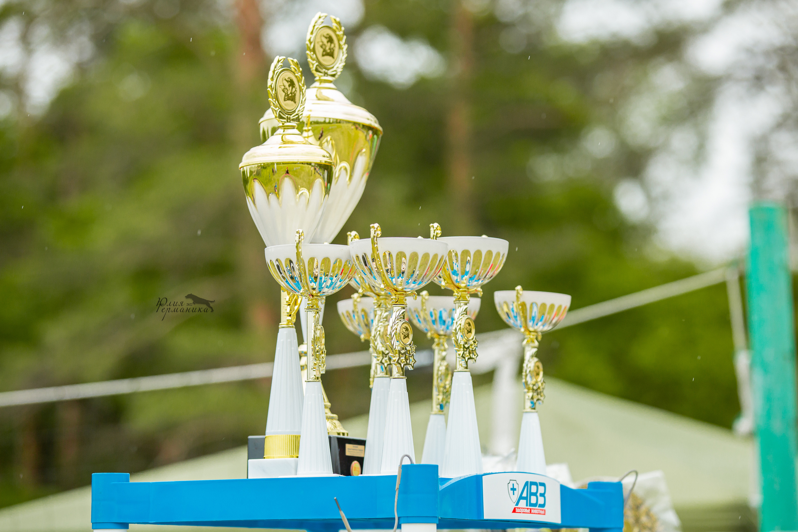 Воронеж моно ротвейлеров 28-29 мая 2022. Фотограф-анималист Юлия Германика