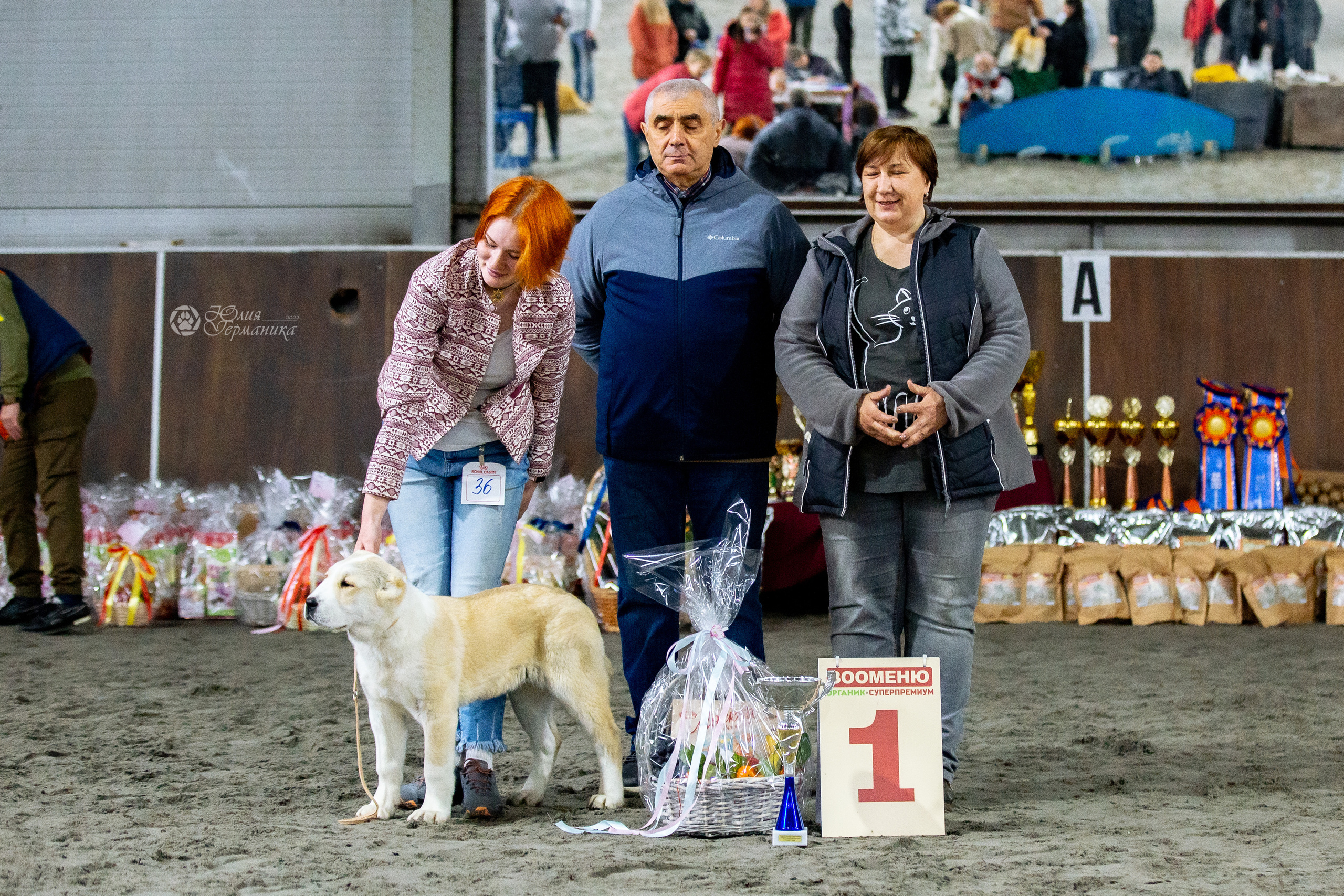Националка САО+КЧК 24 апреля 2022. Фотограф-анималист Юлия Германика