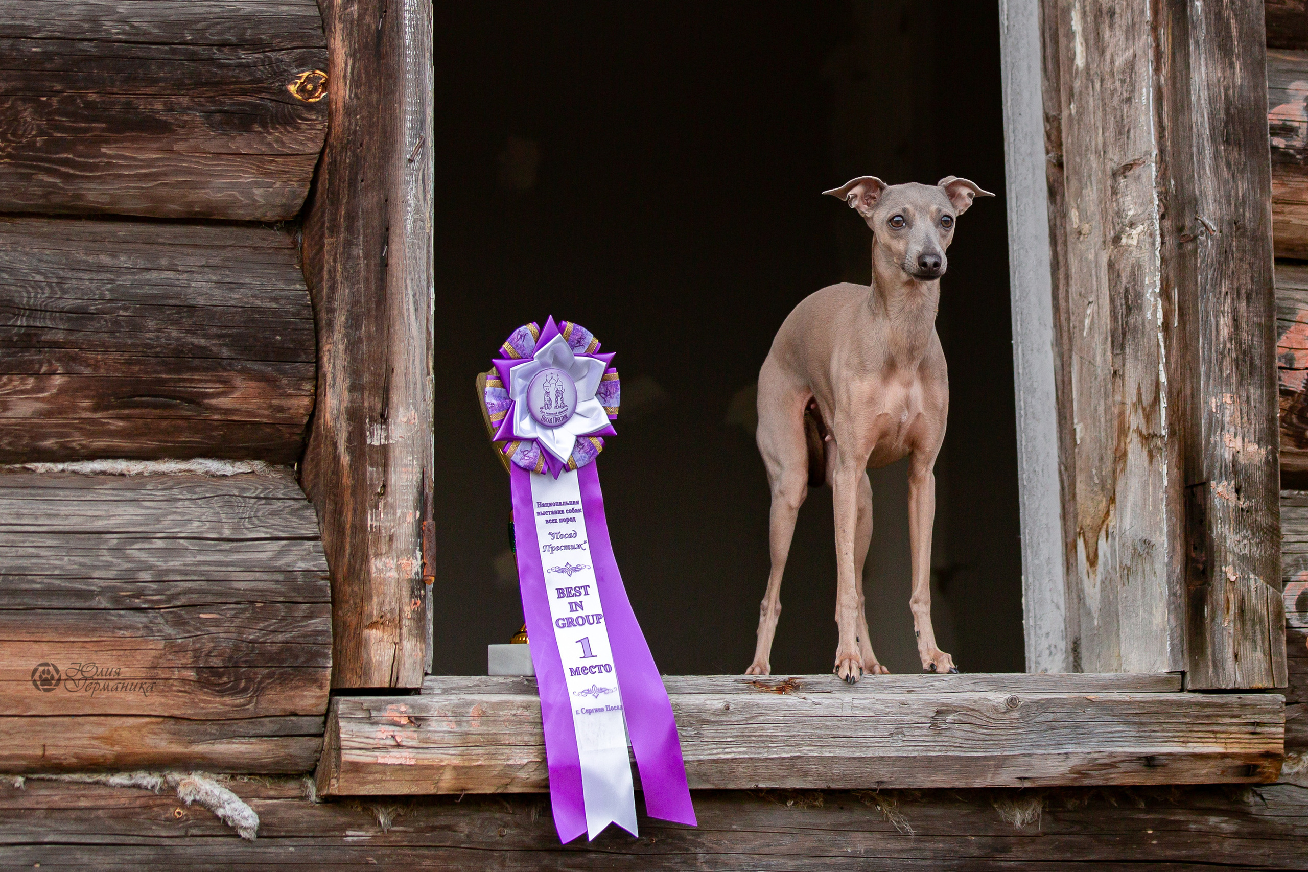 Сергиев Посад 23.04.2022. Фотограф-анималист Юлия Германика