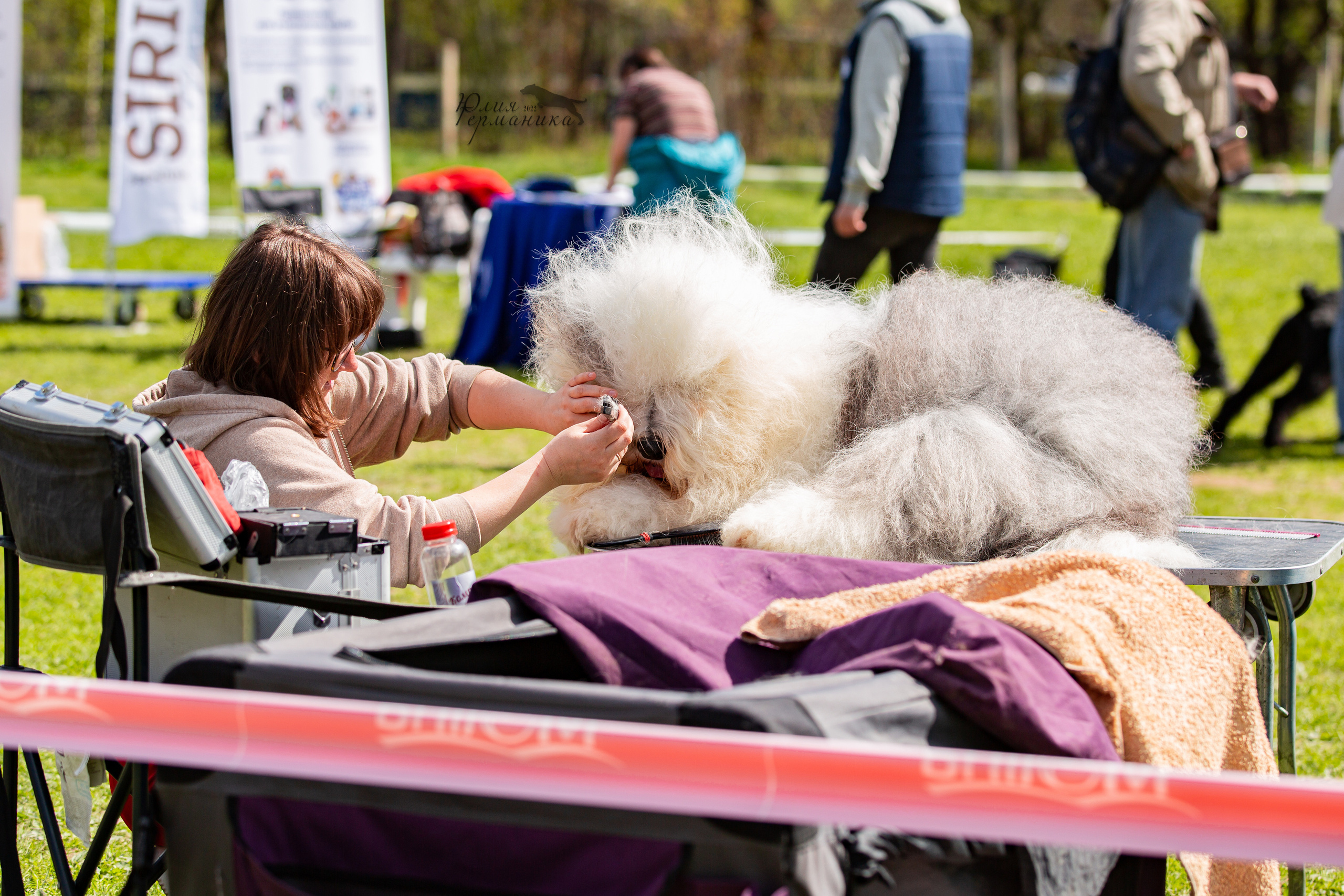 Пушкино 2хЧРКФ 14 мая 2022. Фотограф-анималист Юлия Германика