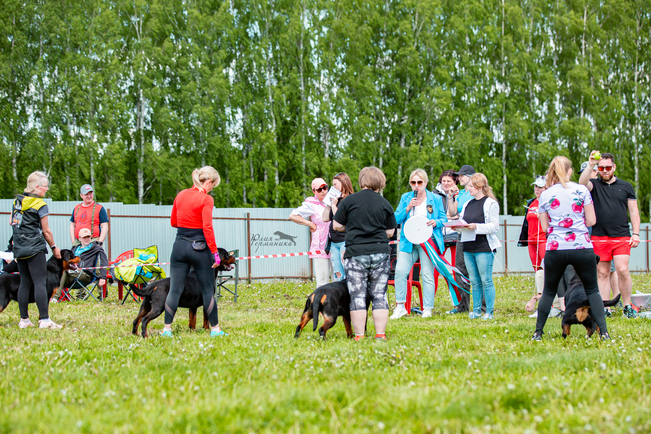 Нижний Новгород моно ротвейлеров 4 июня 2022. Фотограф-анималист Юлия Германика