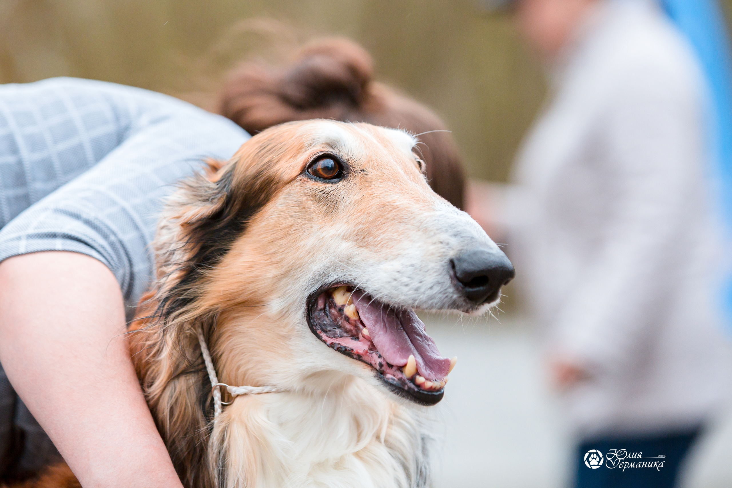 Александров 2хСАС 8 мая 2022. Фотограф-анималист Юлия Германика