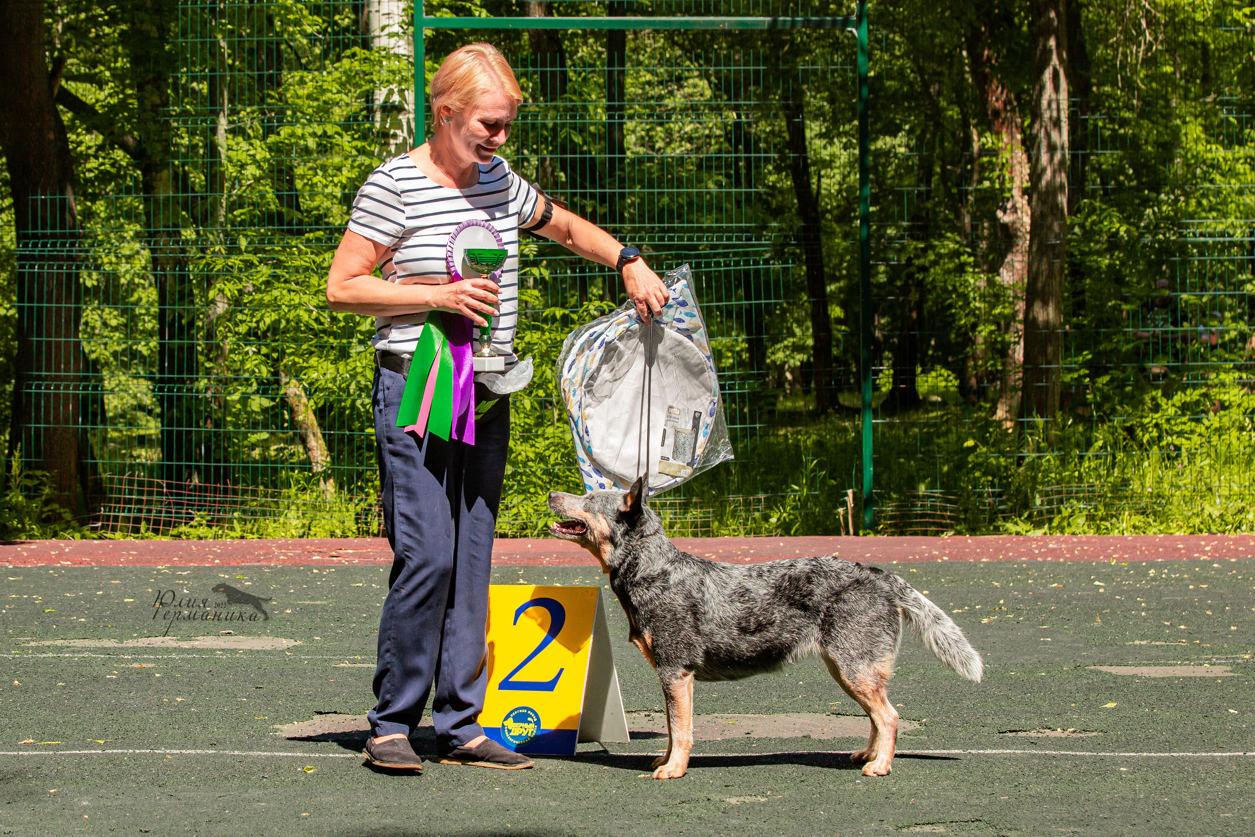 Сергиев Посад 2хСАС 25.06.2022. Фотограф-анималист Юлия Германика