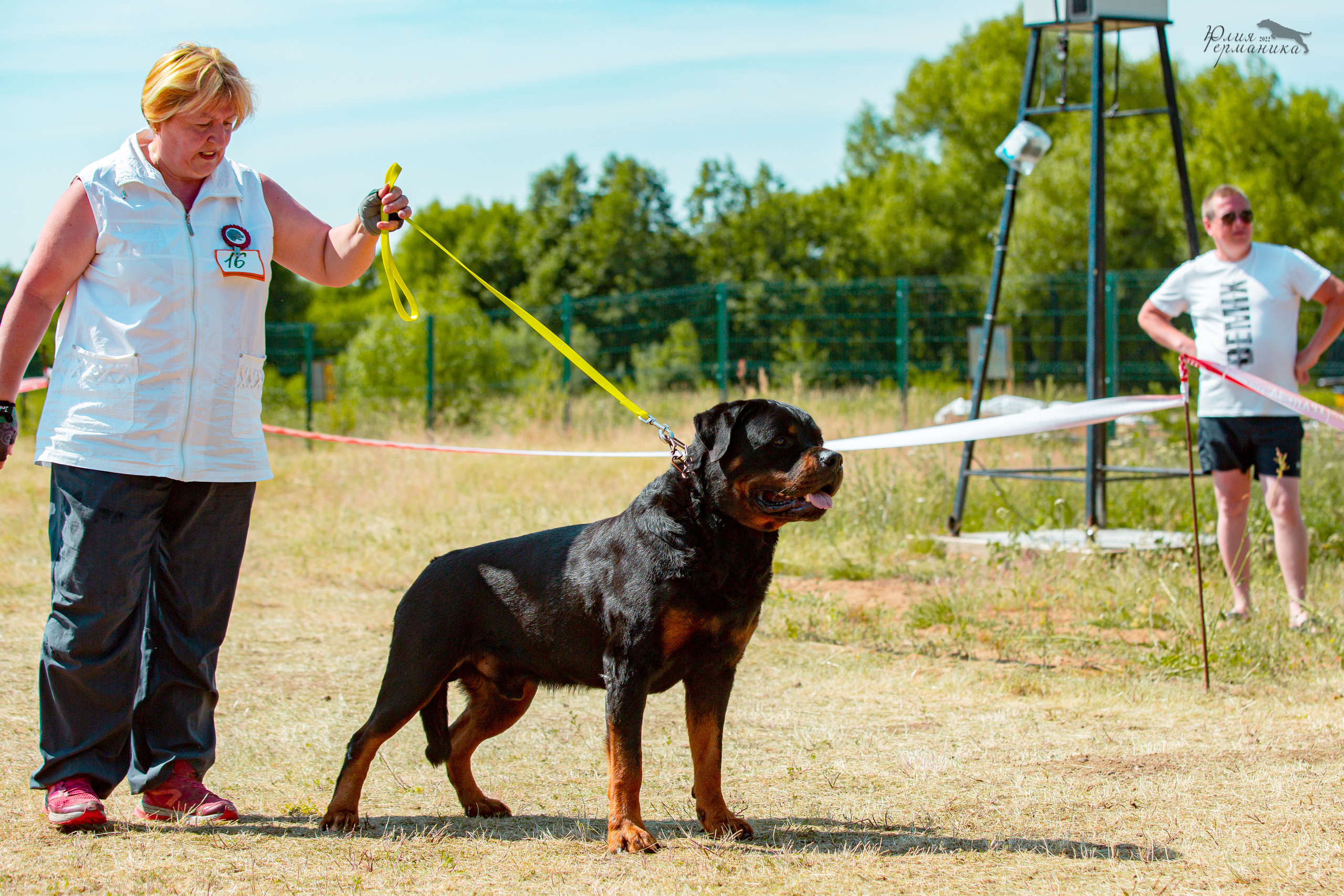 Тверь моно ротвейлеров 2-3.07.2022. Фотограф-анималист Юлия Германика