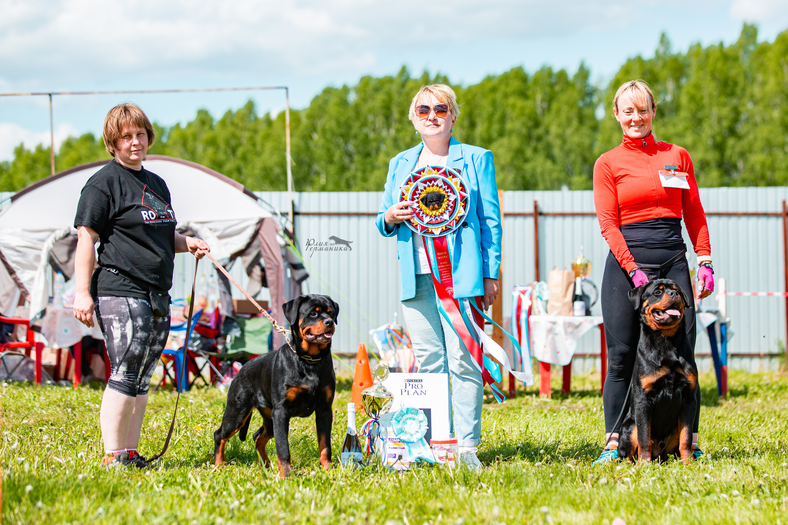 Нижний Новгород моно ротвейлеров 4 июня 2022. Фотограф-анималист Юлия Германика