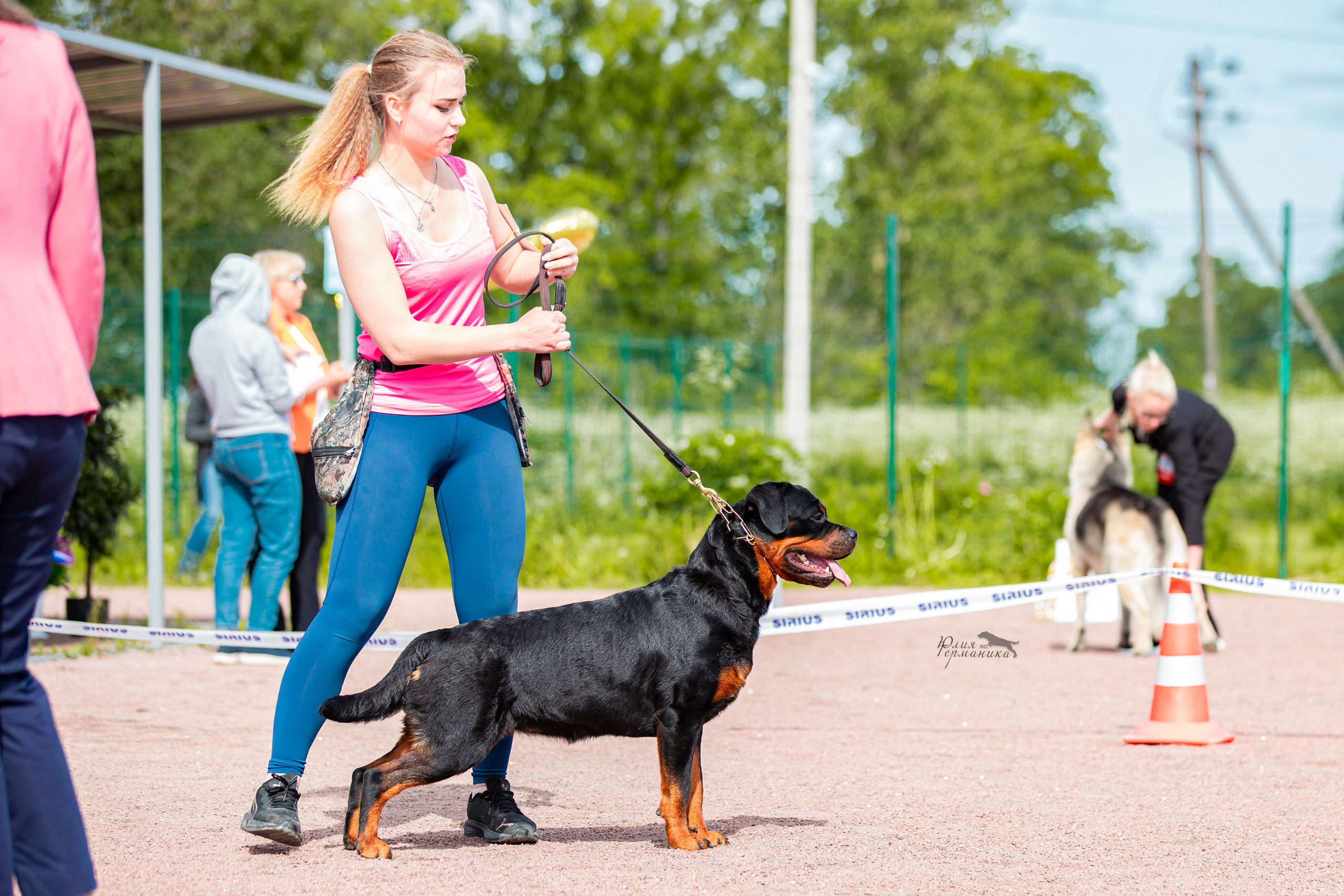 Смоленск 12.06,   Ховрино 13.06,    Питер 18.06 2022. Фотограф-анималист Юлия Германика