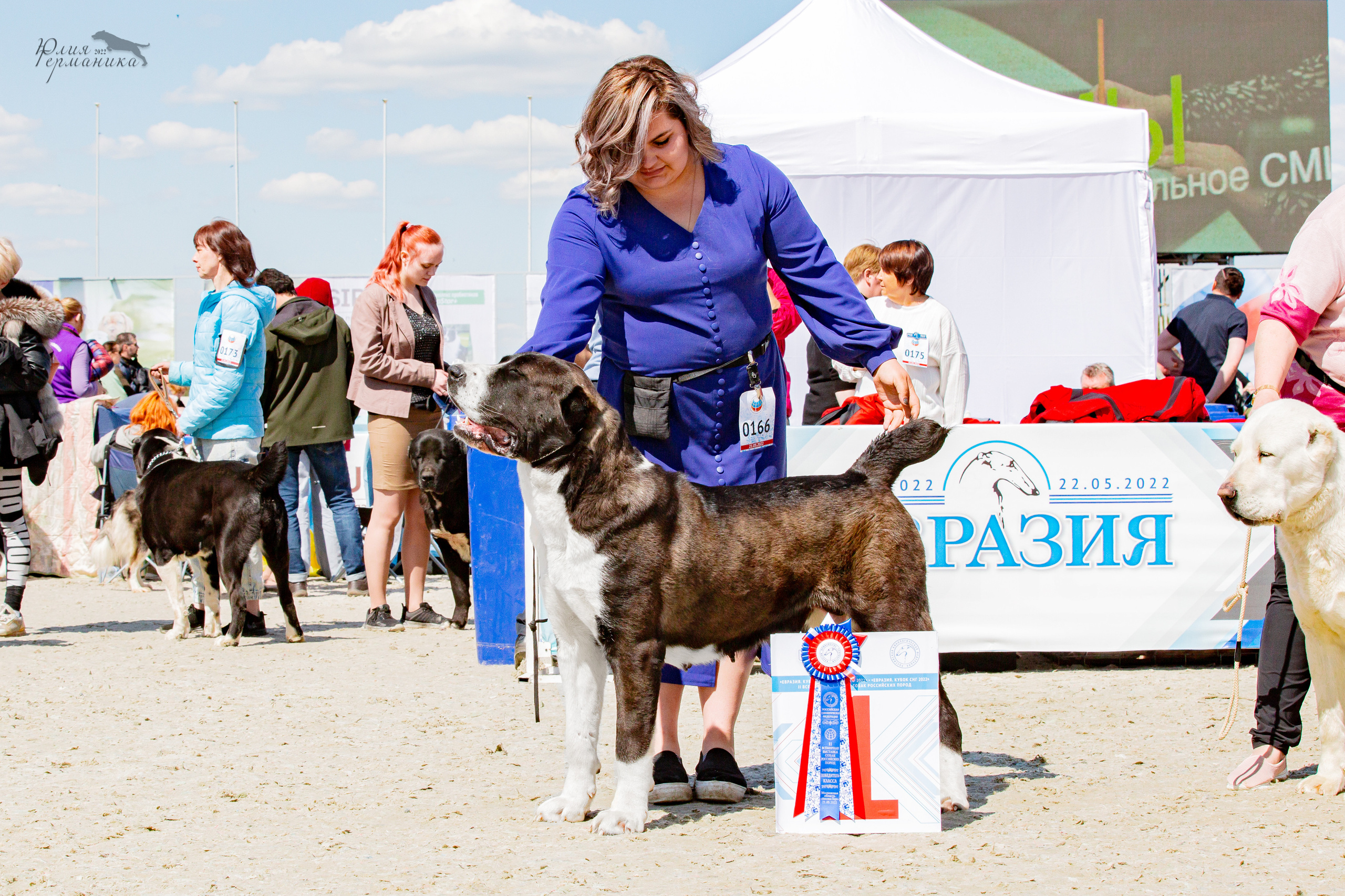 Евразия 21-22 мая 2022. Фотограф-анималист Юлия Германика