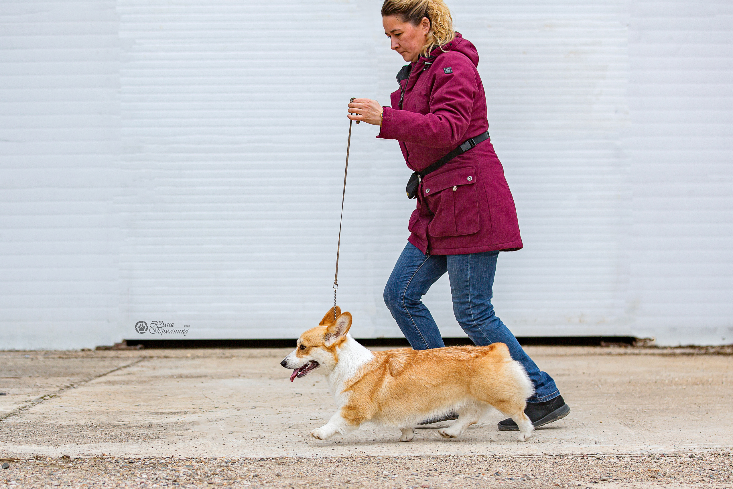 Сергиев Посад 23.04.2022. Фотограф-анималист Юлия Германика