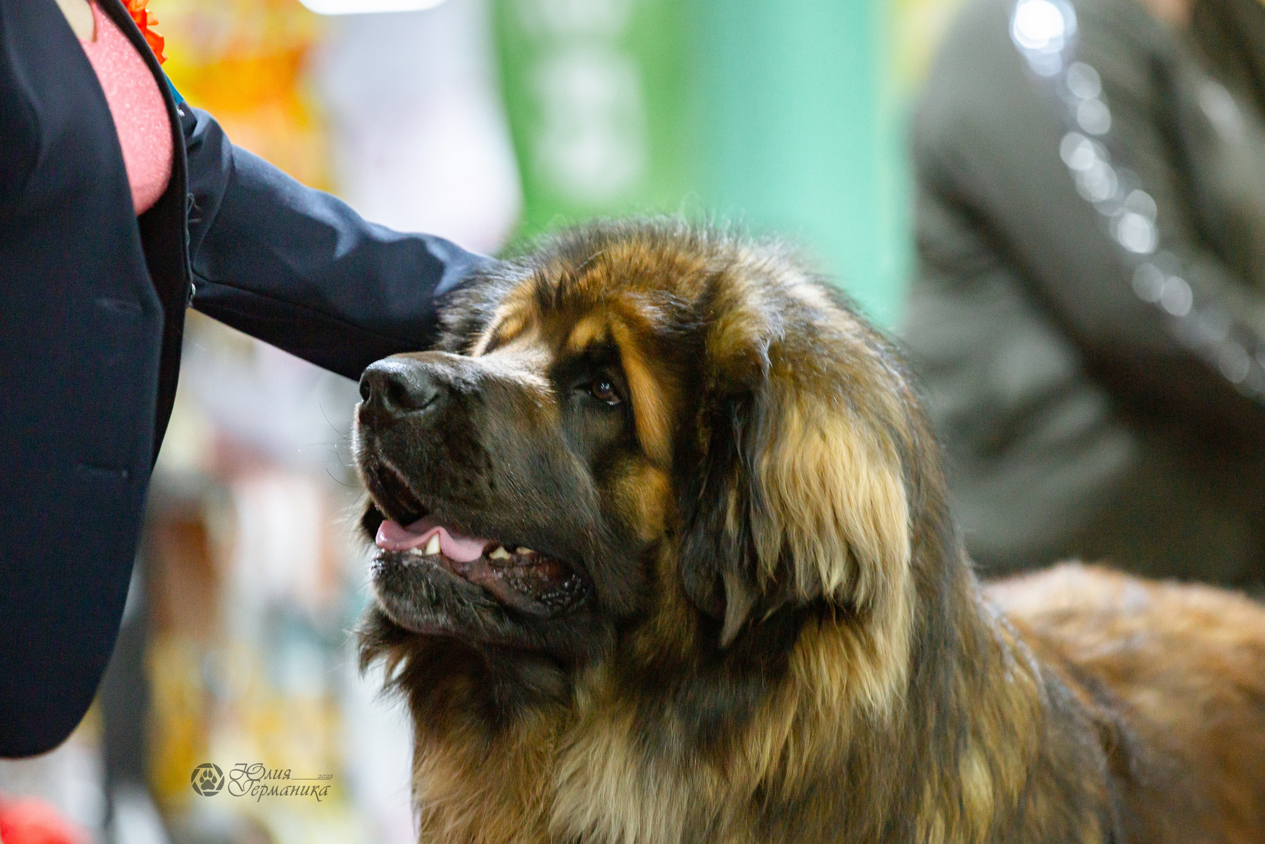 Чайна-Таун 16-17 апреля 2022. Фотограф-анималист Юлия Германика